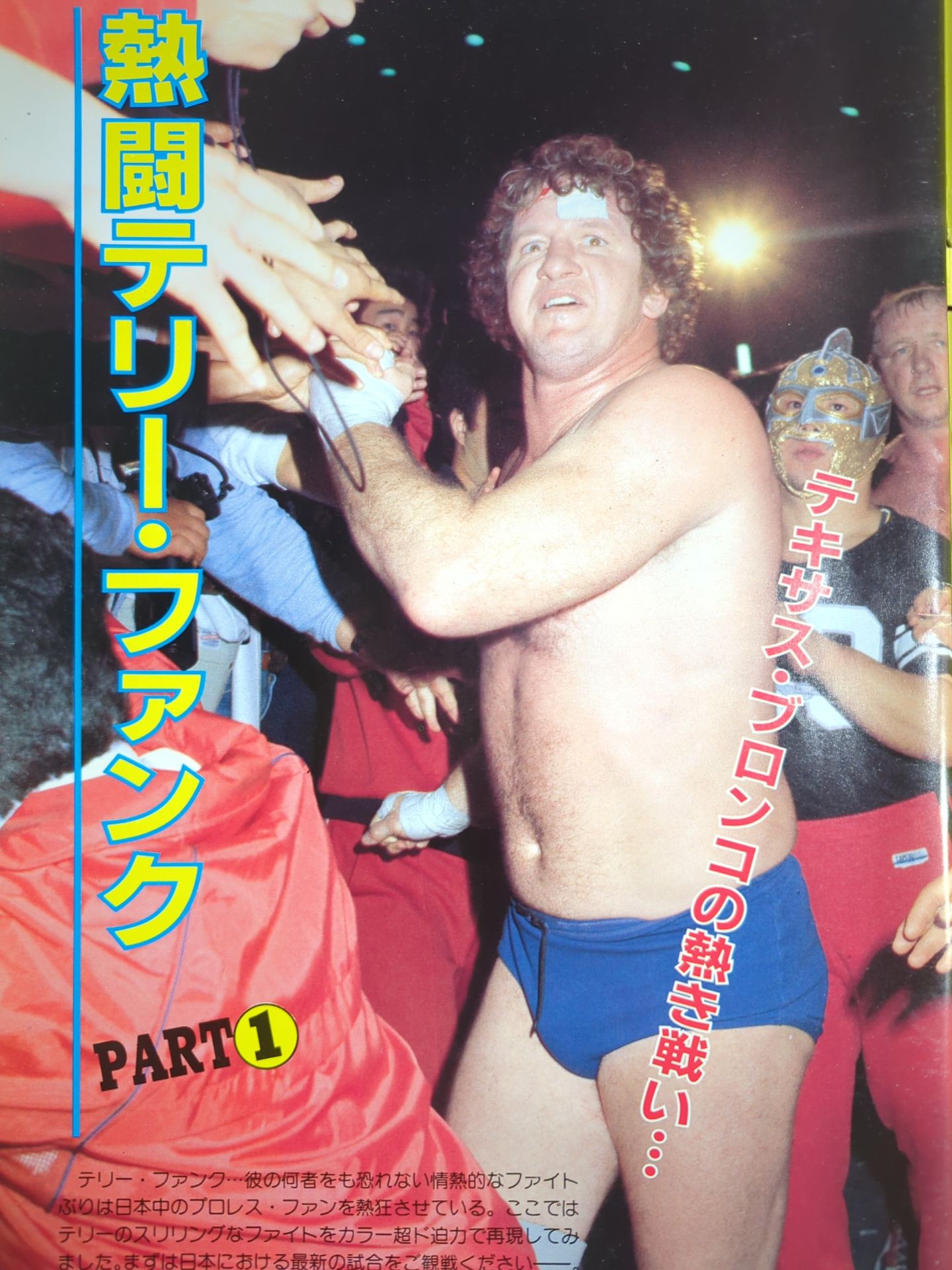 さよならテリー・ファンク いま甦る感動の名勝負! 決定版 テキサス・ブロンコ18年の激
