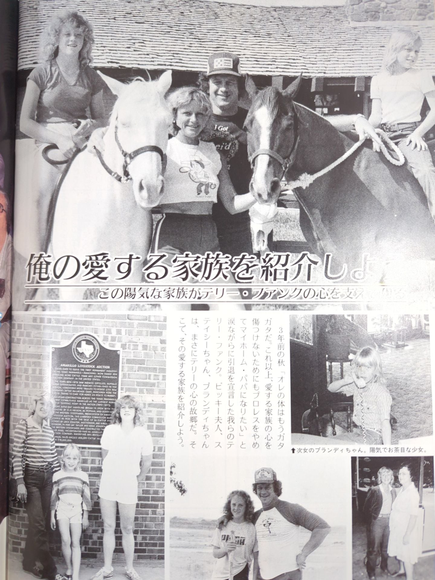 さよならテリー・ファンク いま甦る感動の名勝負! 決定版 テキサス・ブロンコ18年の激