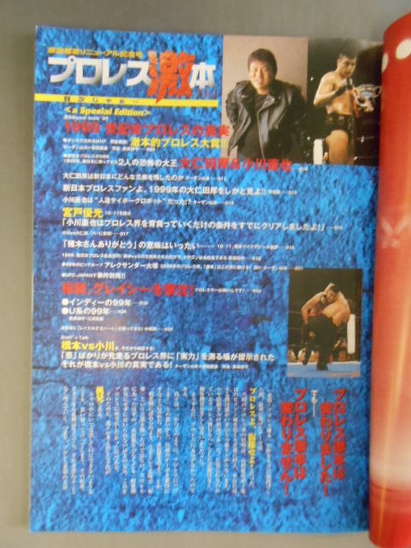 プロレス激本 Vol.1 / 感謝感激リニューアル記念号