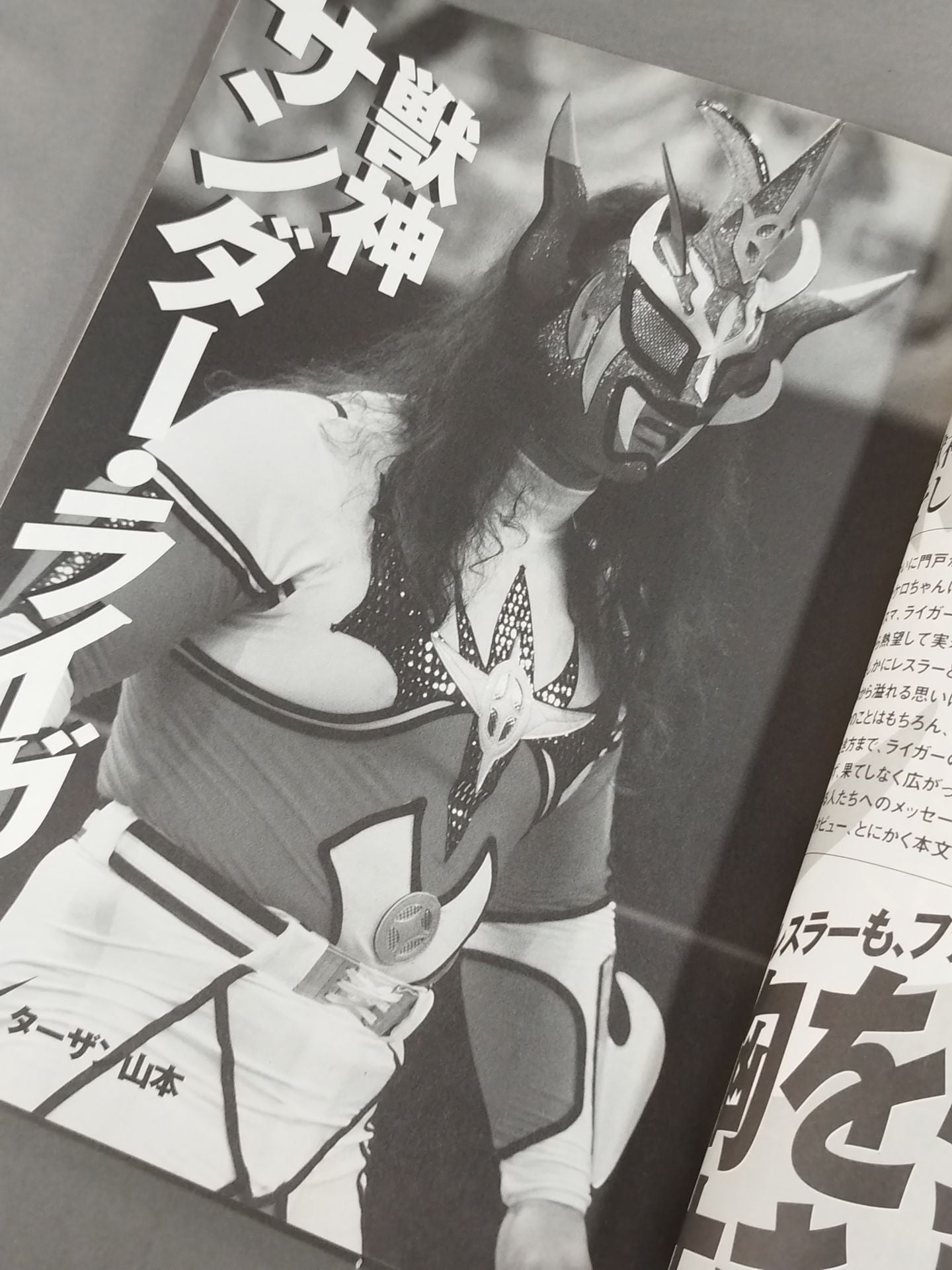 プロレス激本13 / 仮面の告白その本音を聞け!