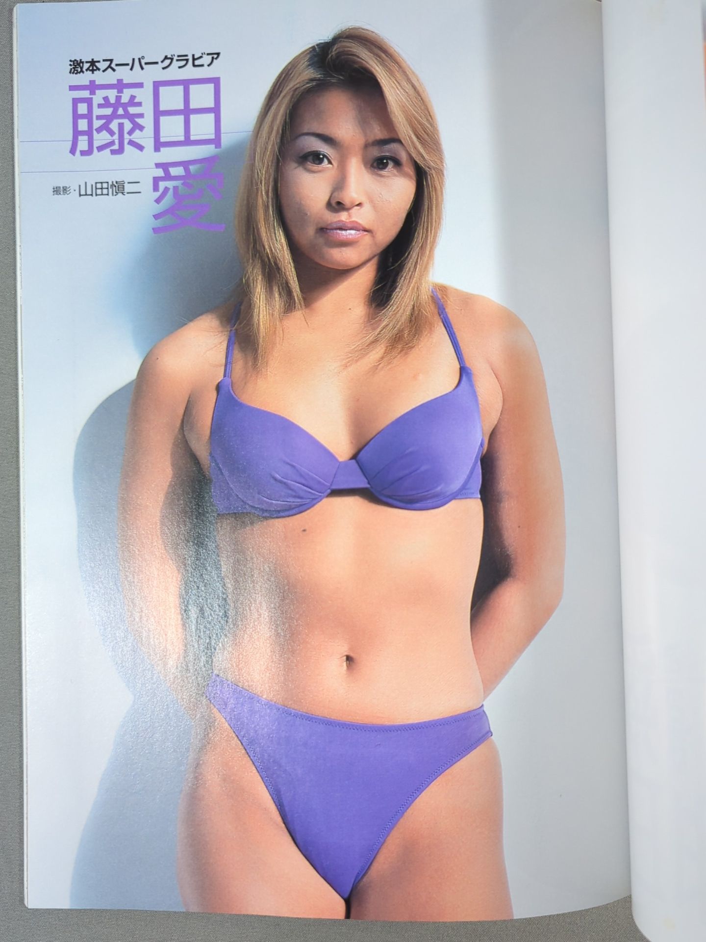 プロレス激本2 / 特集 PRIDEグランプリ