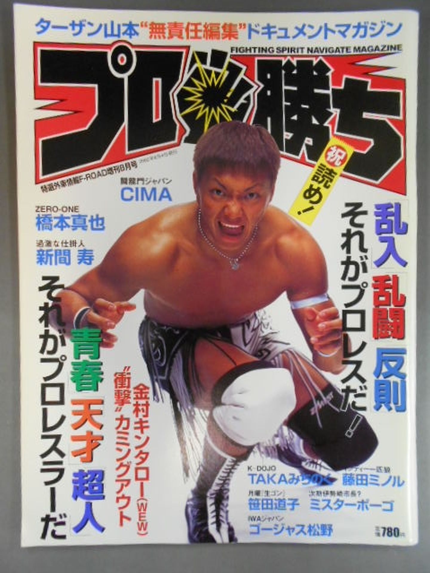 Pro Win Tarzan Yamamoto Irresponsible Editorial Document Magazine August 2002 Issue Break-in Brawl Foul It's a Pro