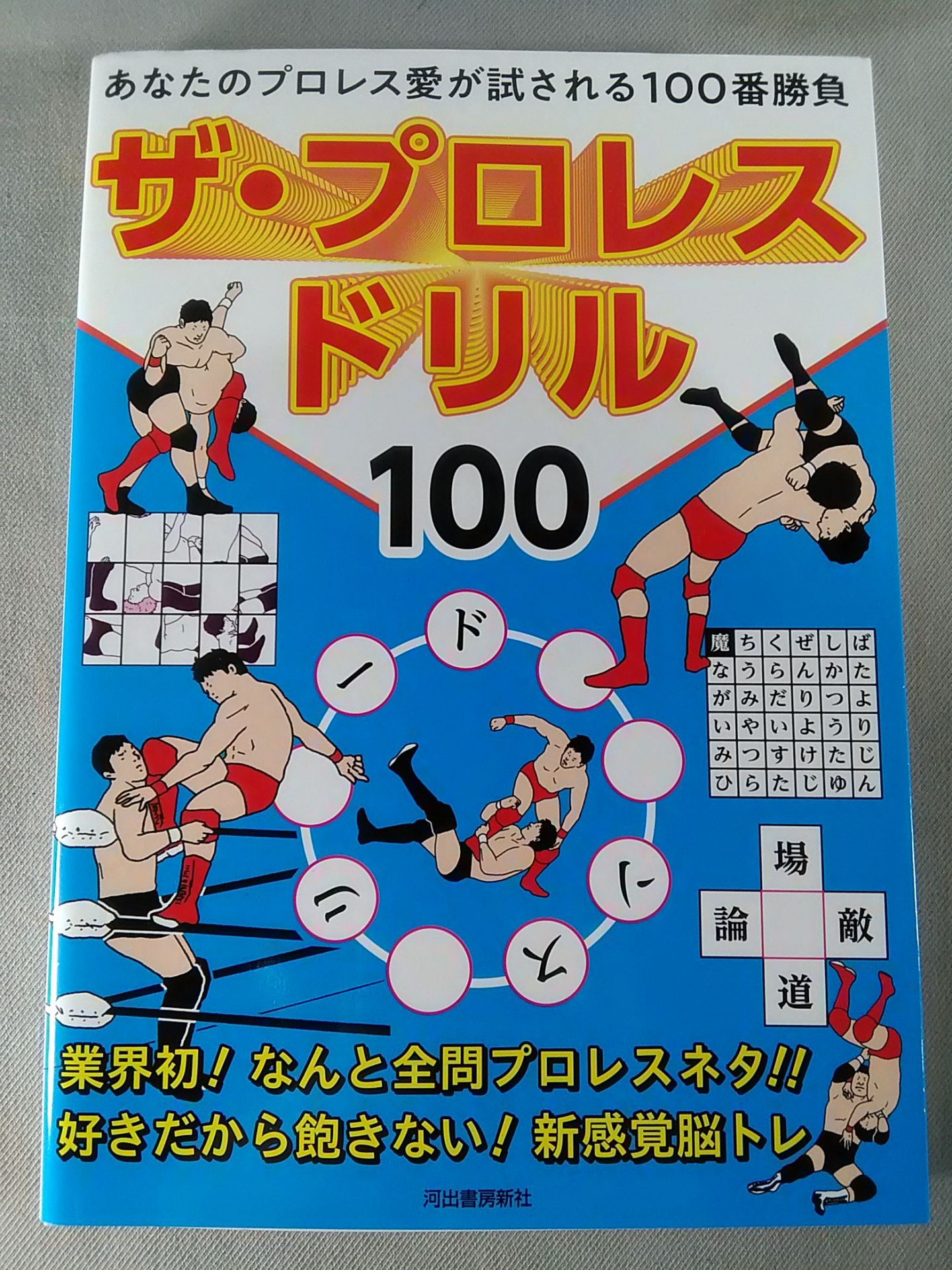The Pro Wrestling Drill 100