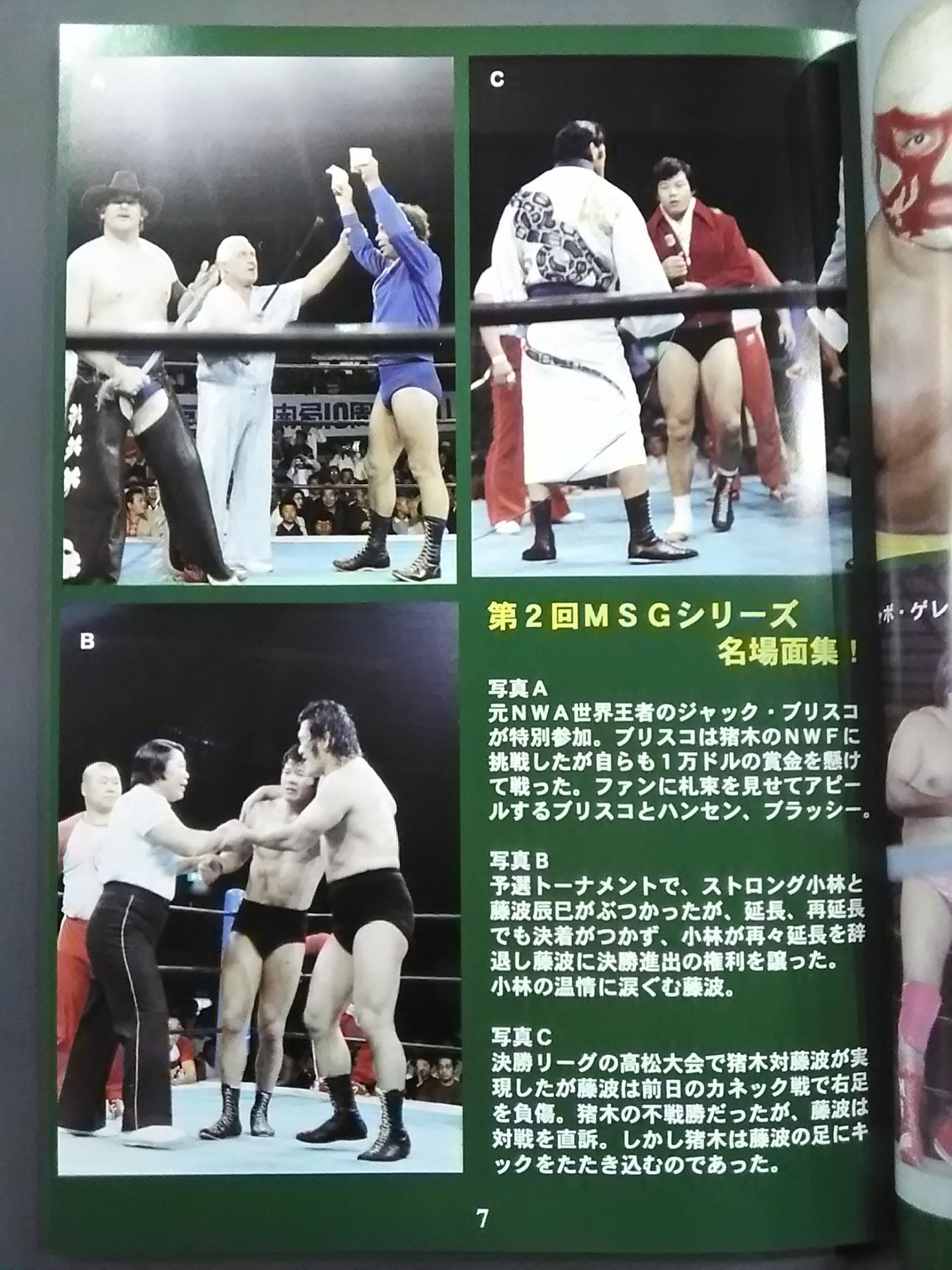 ミック博士の昭和プロレスマガジン第49号 ★特集 MSGシリーズ①&プレ日本選手権★