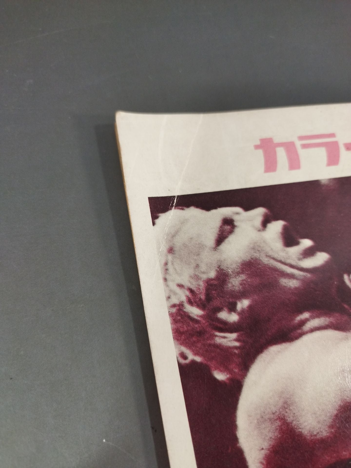 68第10回ワールド大リーグ戦 / Wリーグ戦制定10周年