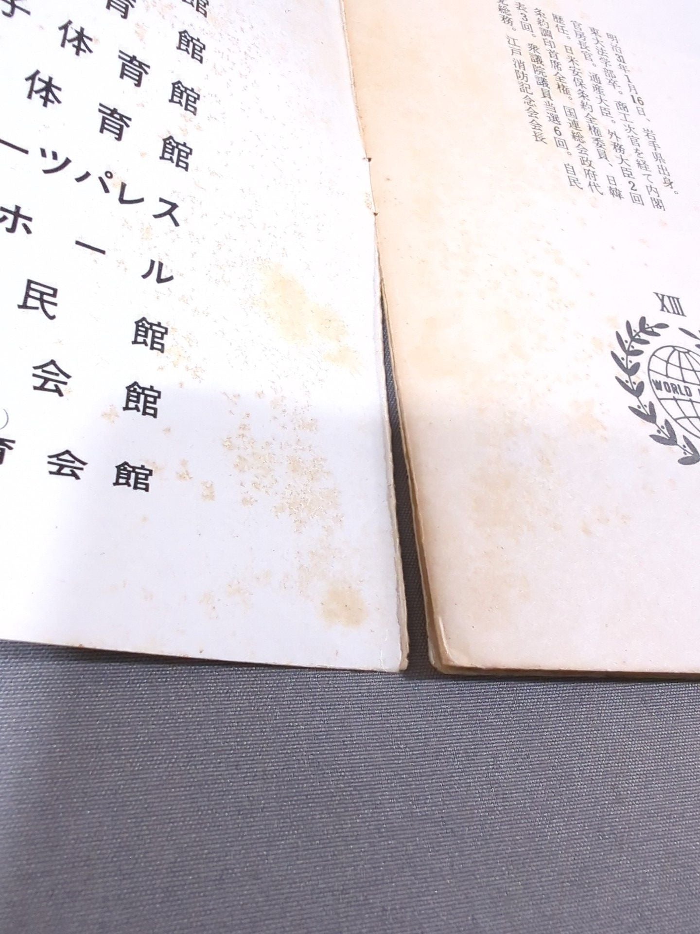 71第13回ワールド大リーグ戦