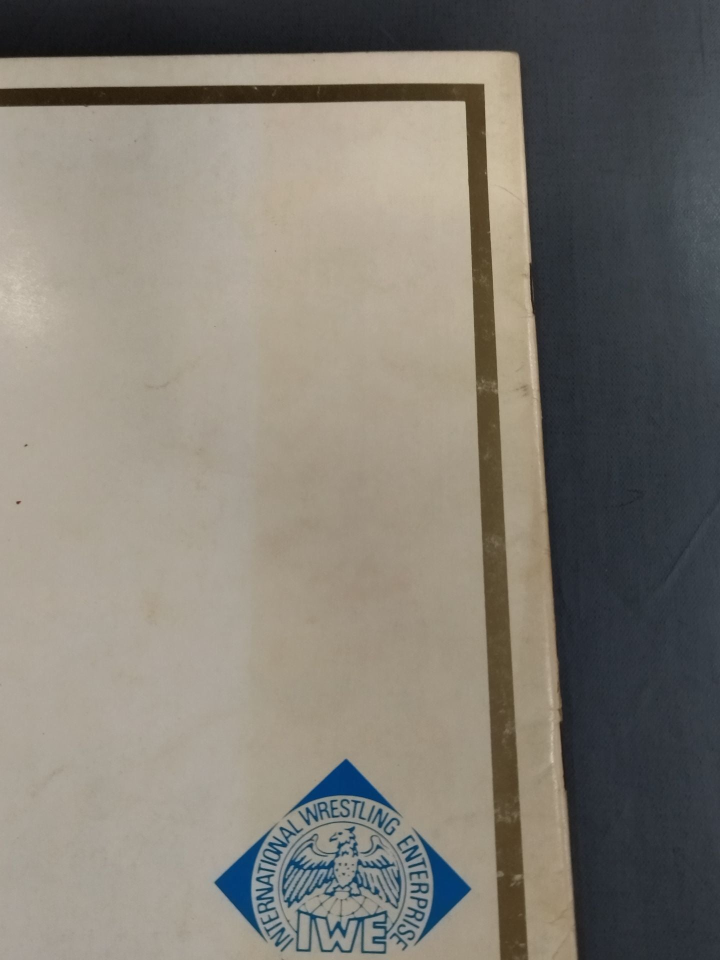 73第5回IWAワールド・シリーズ