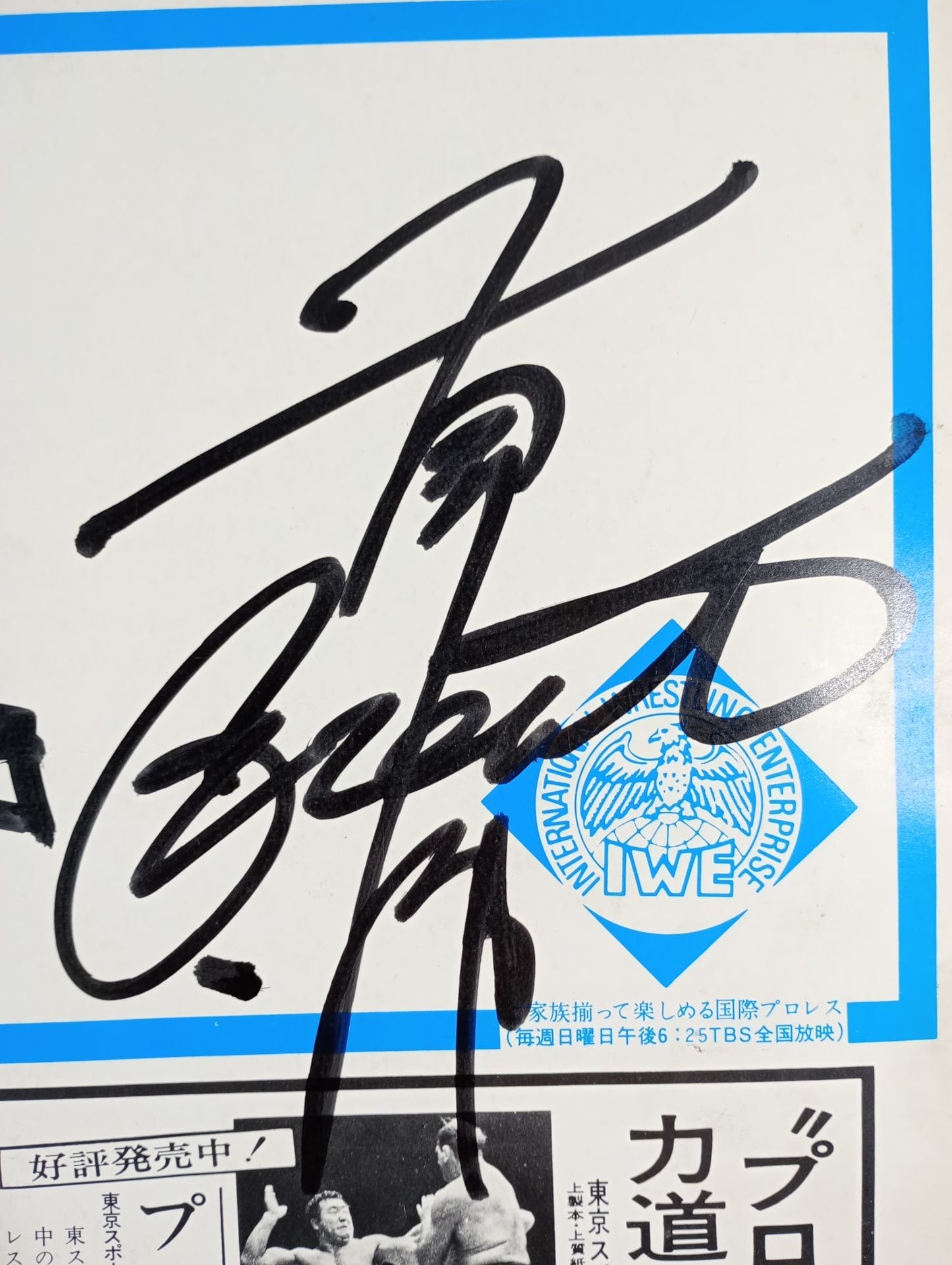 【2選手直筆サイン入り】73チャレンジシリーズ