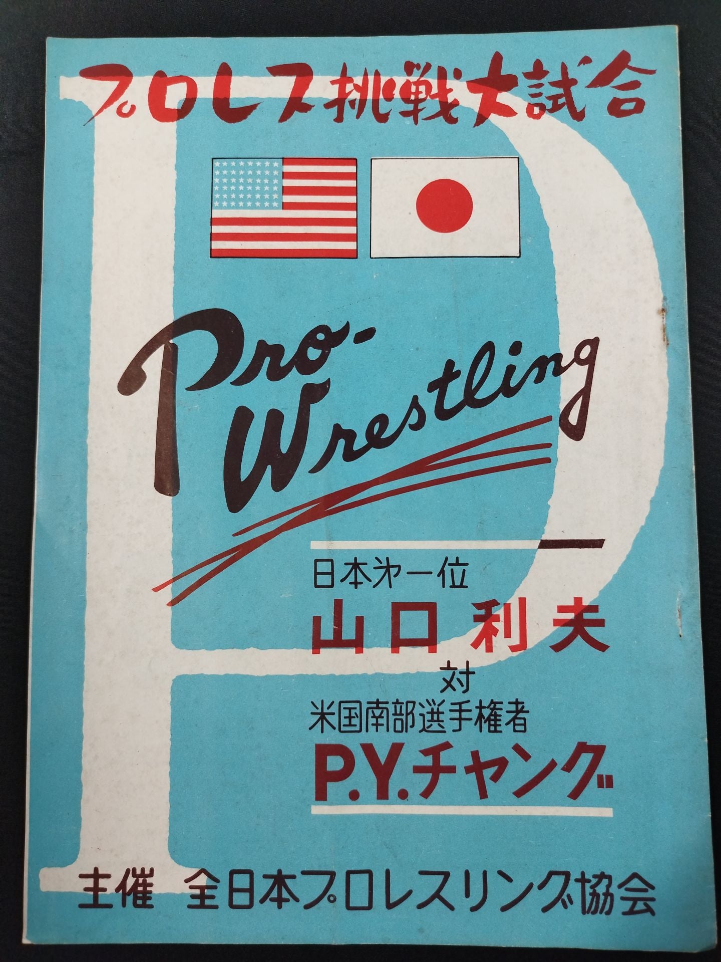 全日本プロレス協会 / プロレス挑戦大試合 – 闘道館