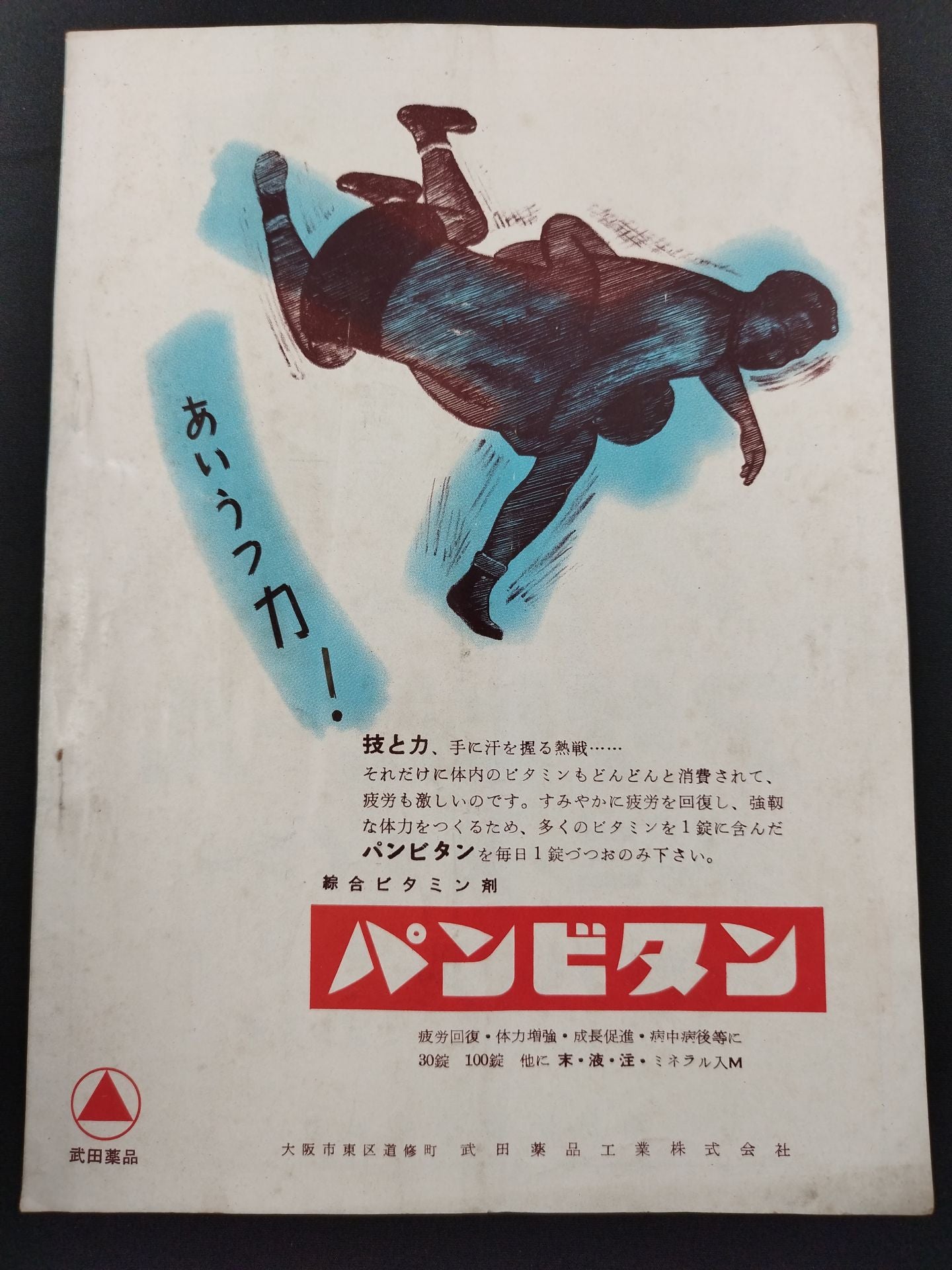 全日本プロレス協会 / プロレス挑戦大試合