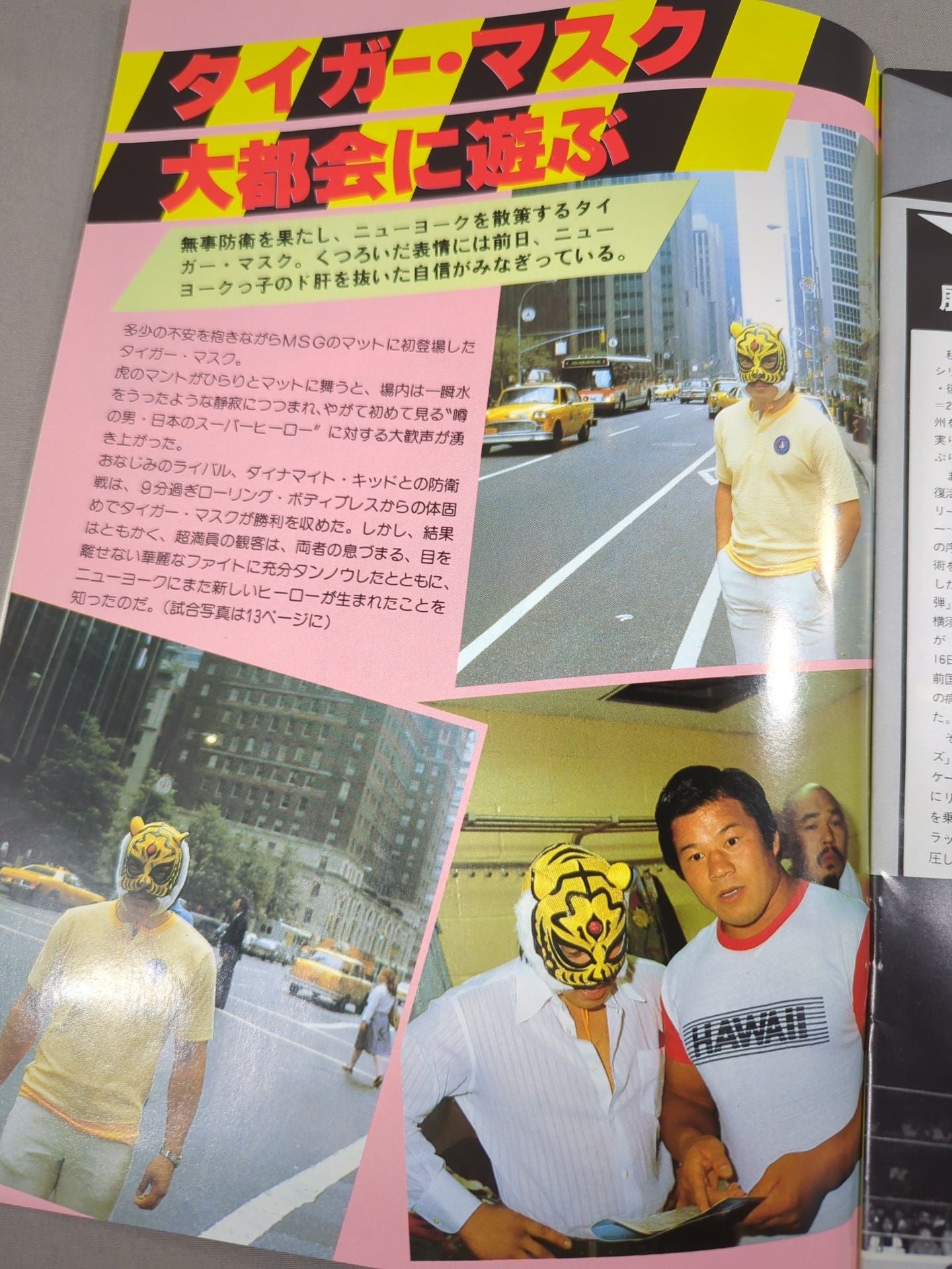 ★1対3 変則タッグマッチ★THE WRESTLER 闘魂シリーズ Vol.12