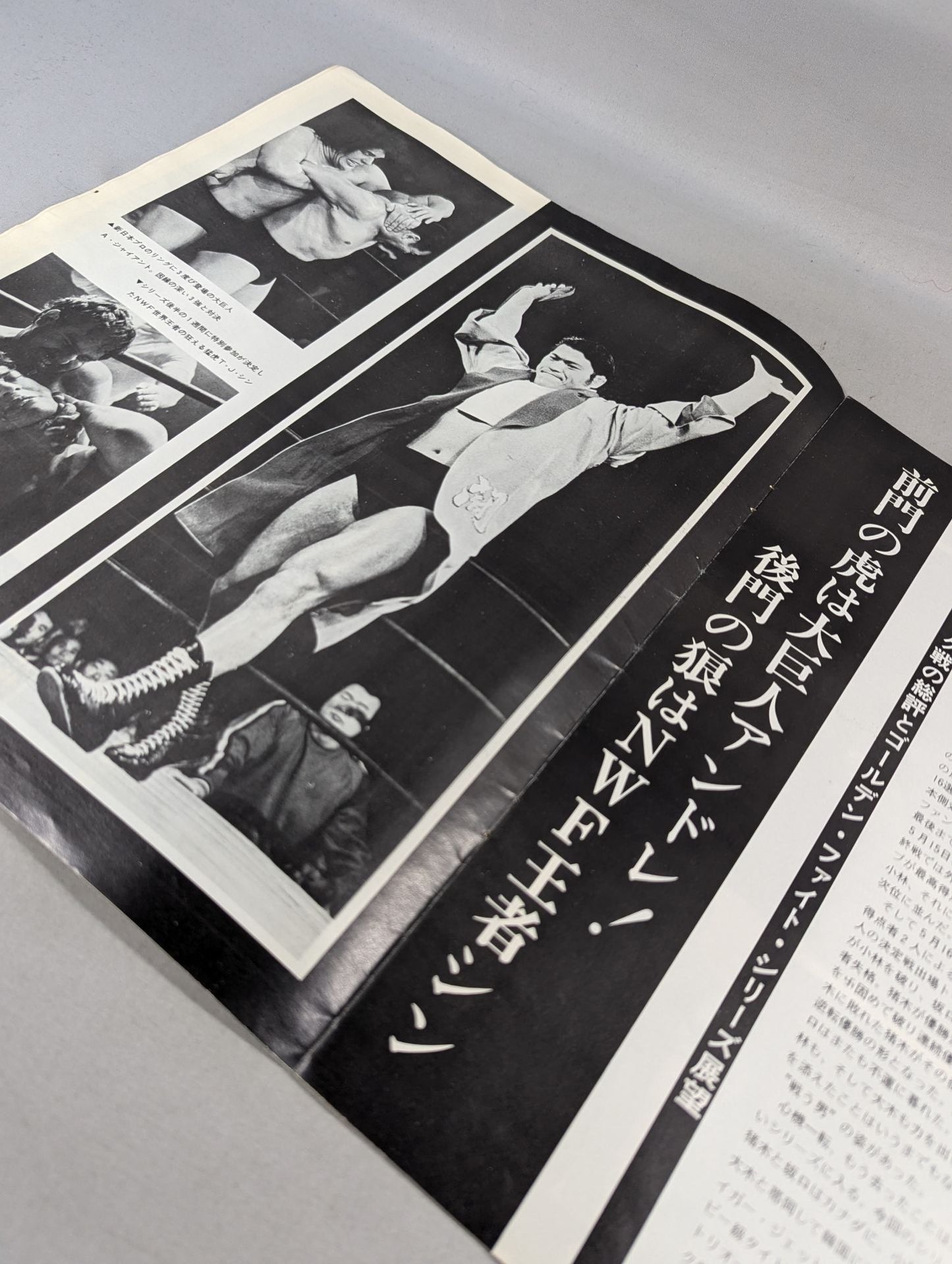 75 Golden Fight Series