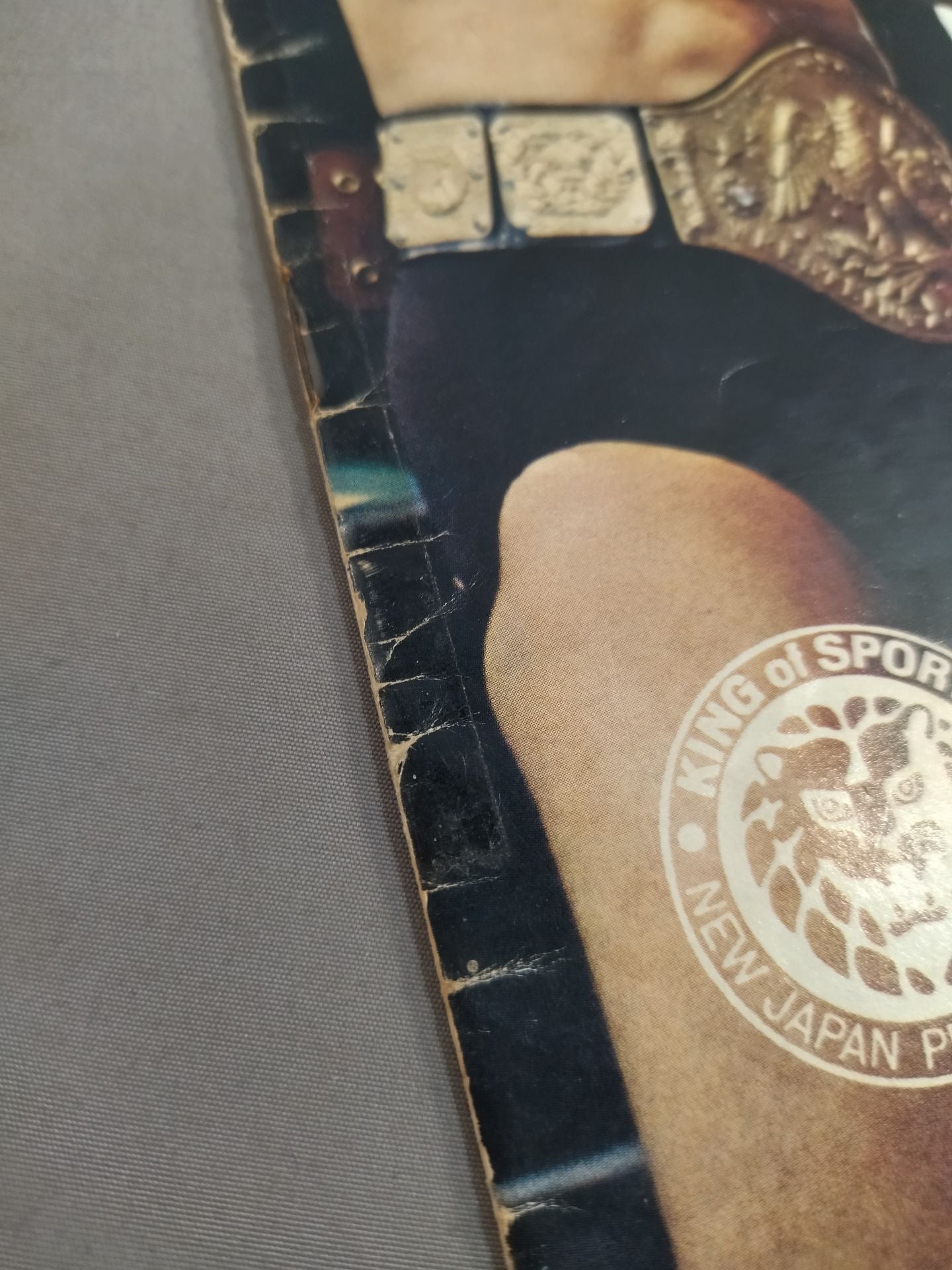 76 Fighting Spirit Series
