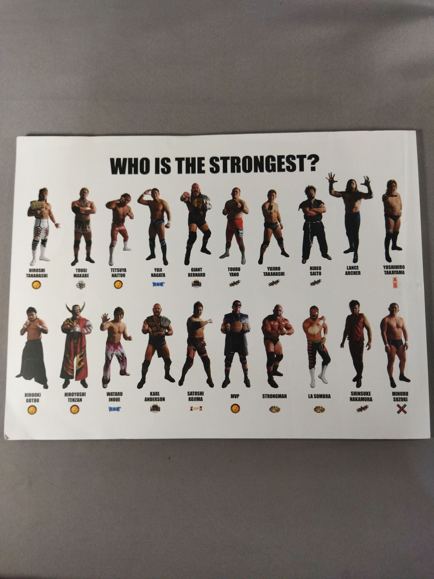 G1 CLIMAX XXI / G1 CLIMAX 21