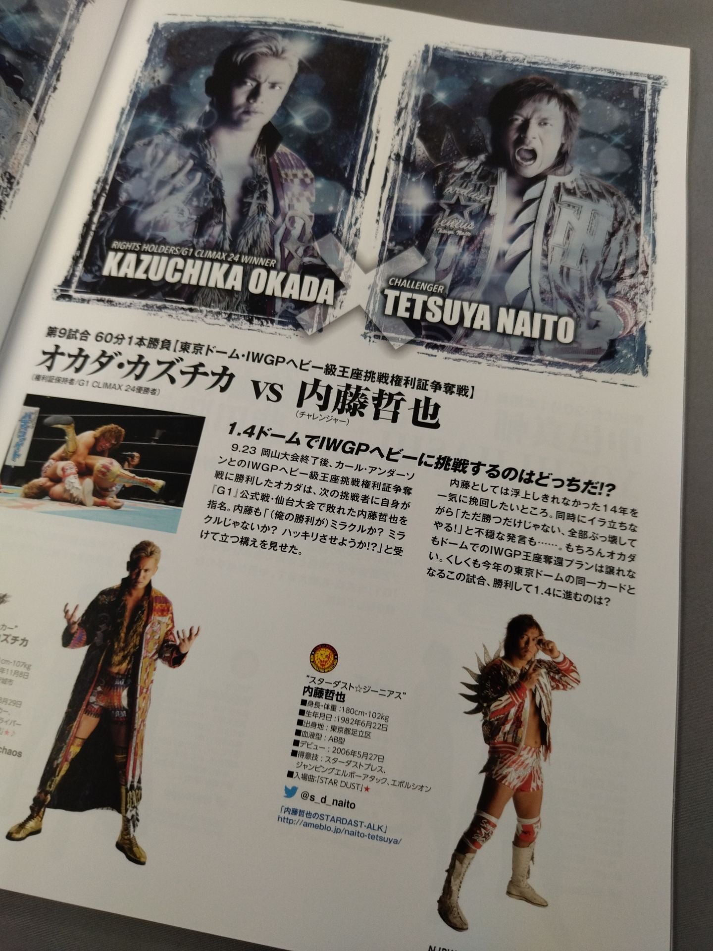 キング・オブ・プロレスリング2014 / KING OF PRO-WRESTLING 2014