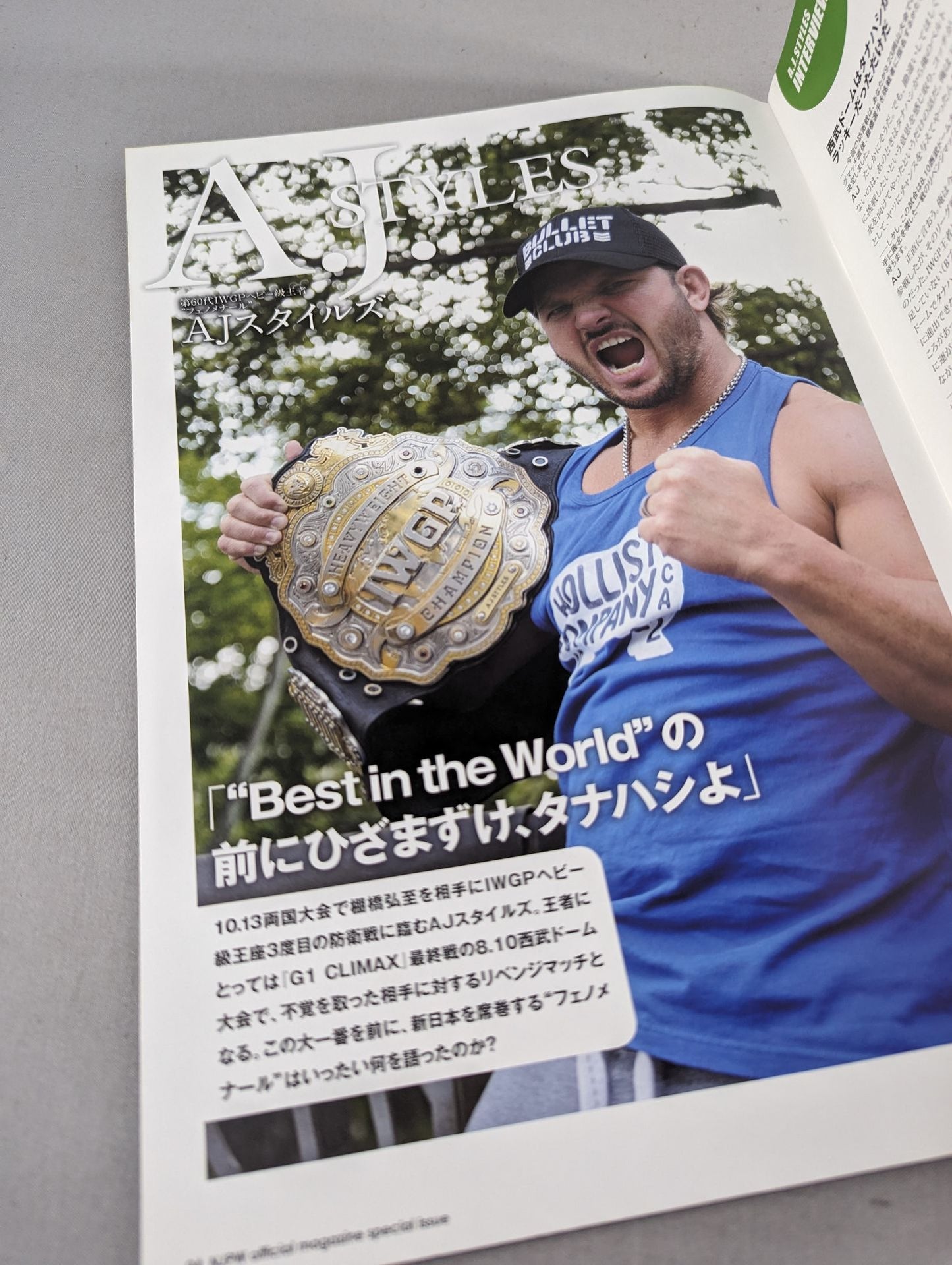 キング・オブ・プロレスリング2014 / KING OF PRO-WRESTLING 2014