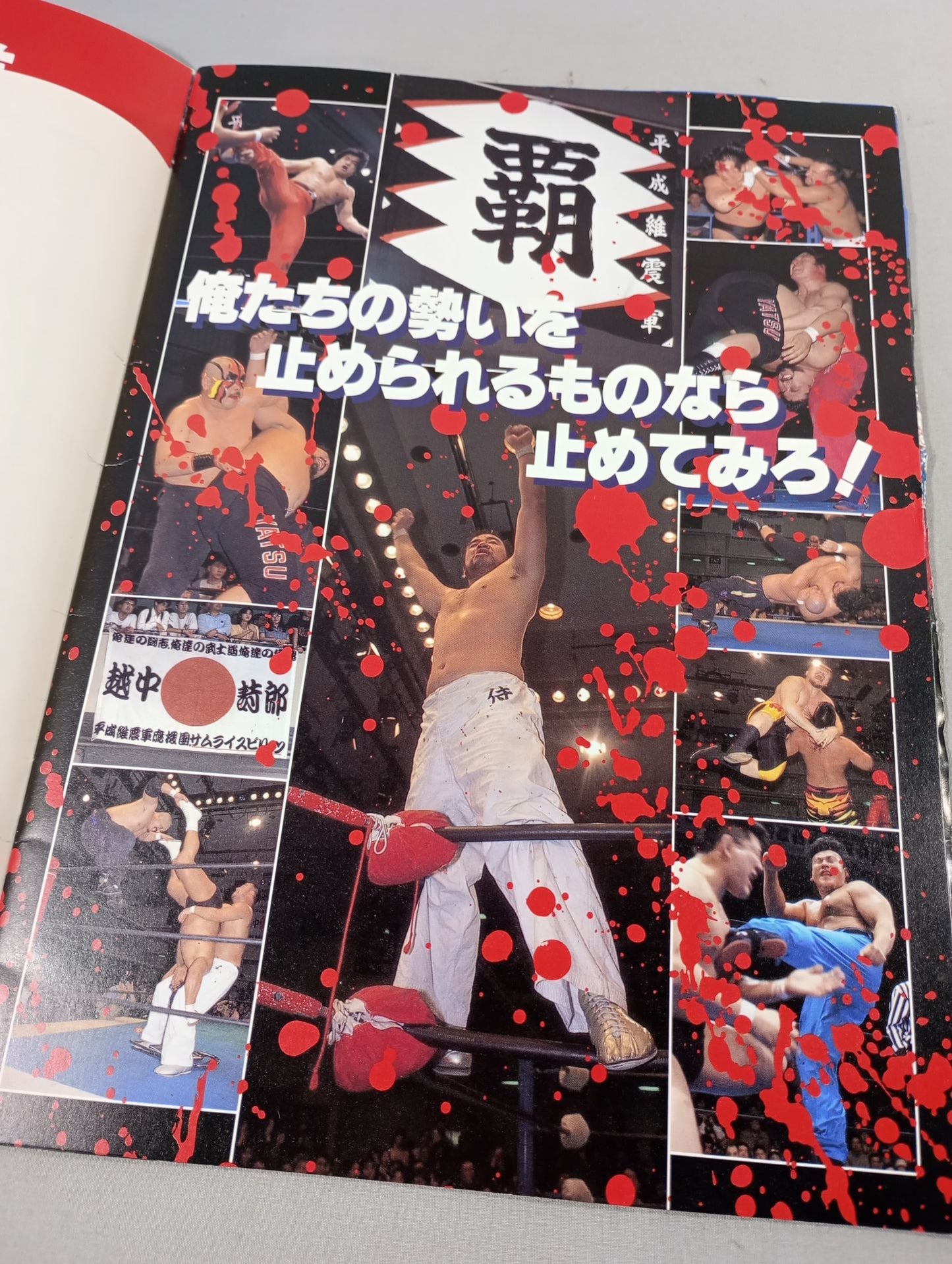 Heisei Ishingun 【覇】