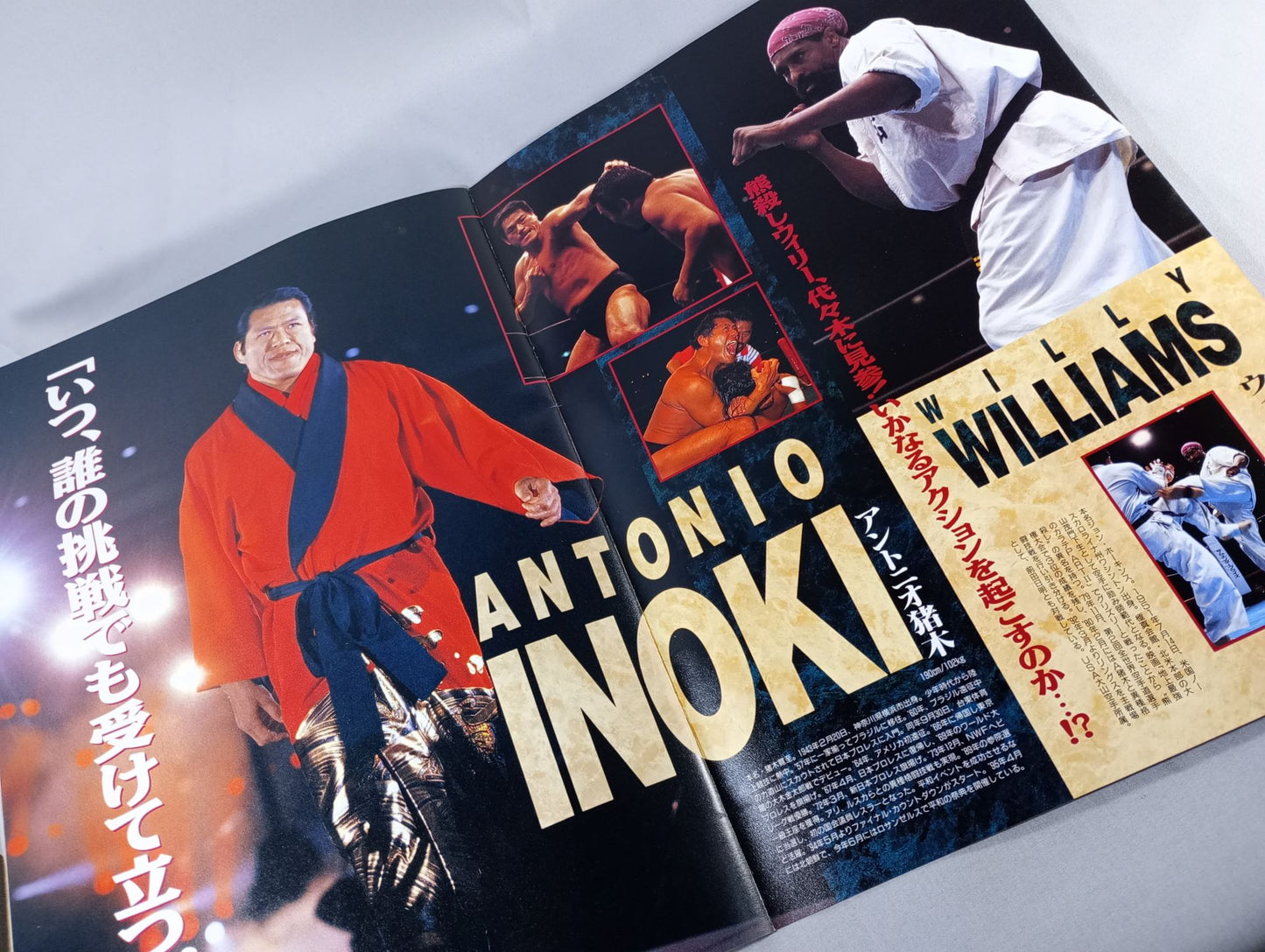 INOKI FESTIVAL in 代々木