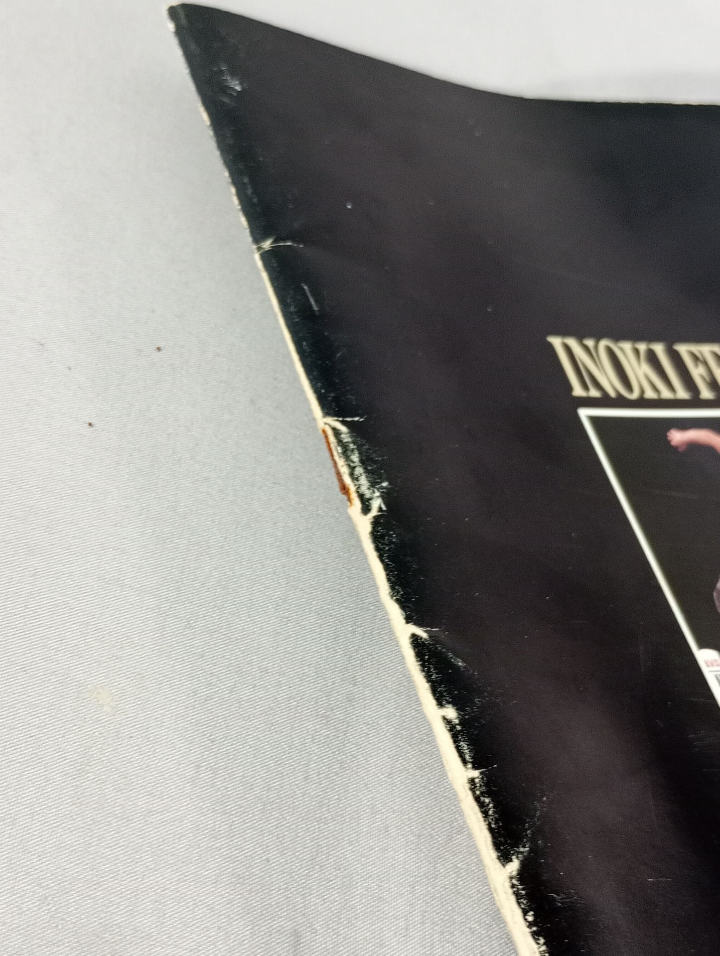 INOKI FESTIVAL in Yoyogi