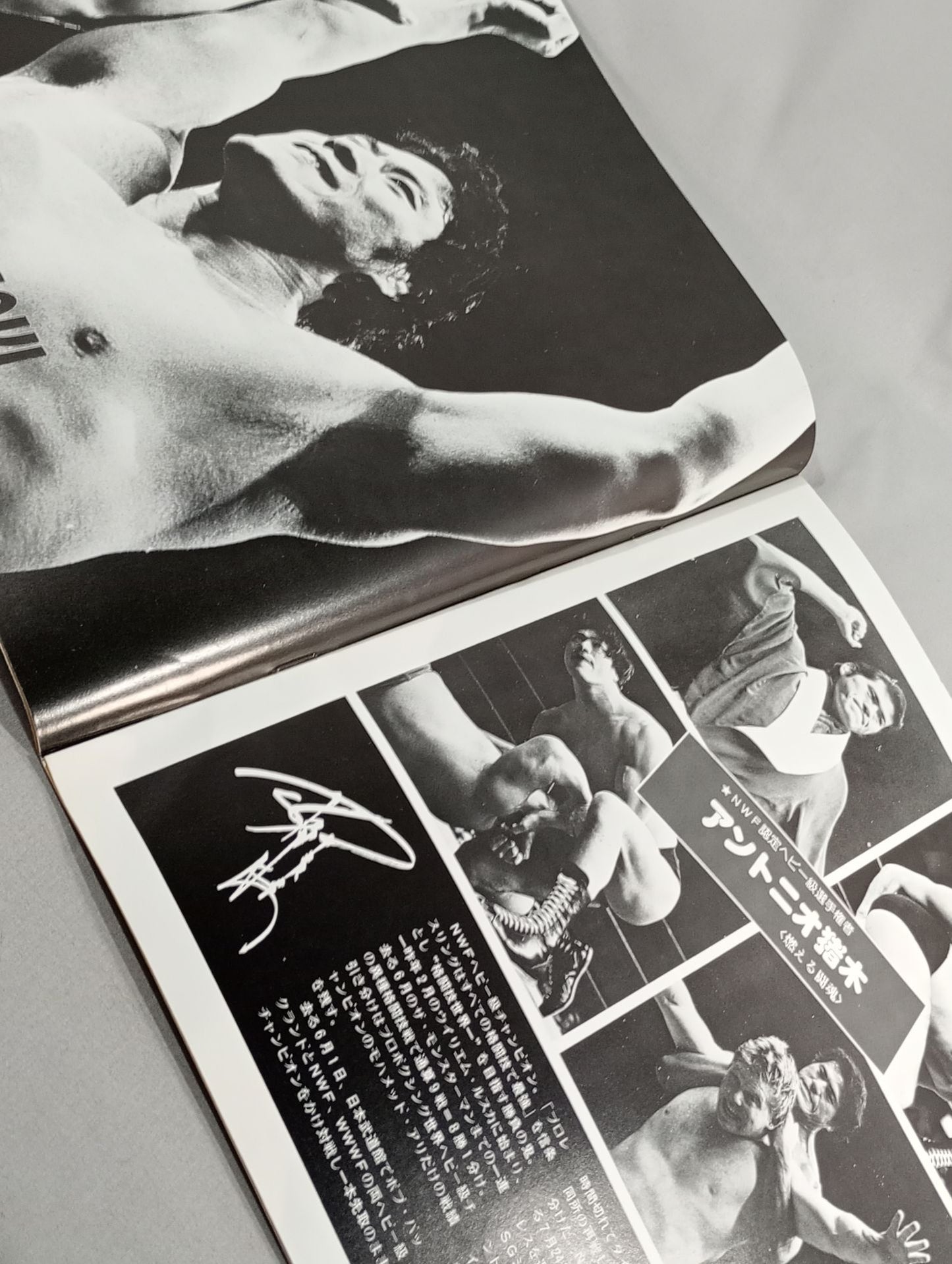 ★ Inoki vs Shin NWF ★ 78 Golden Fight Series