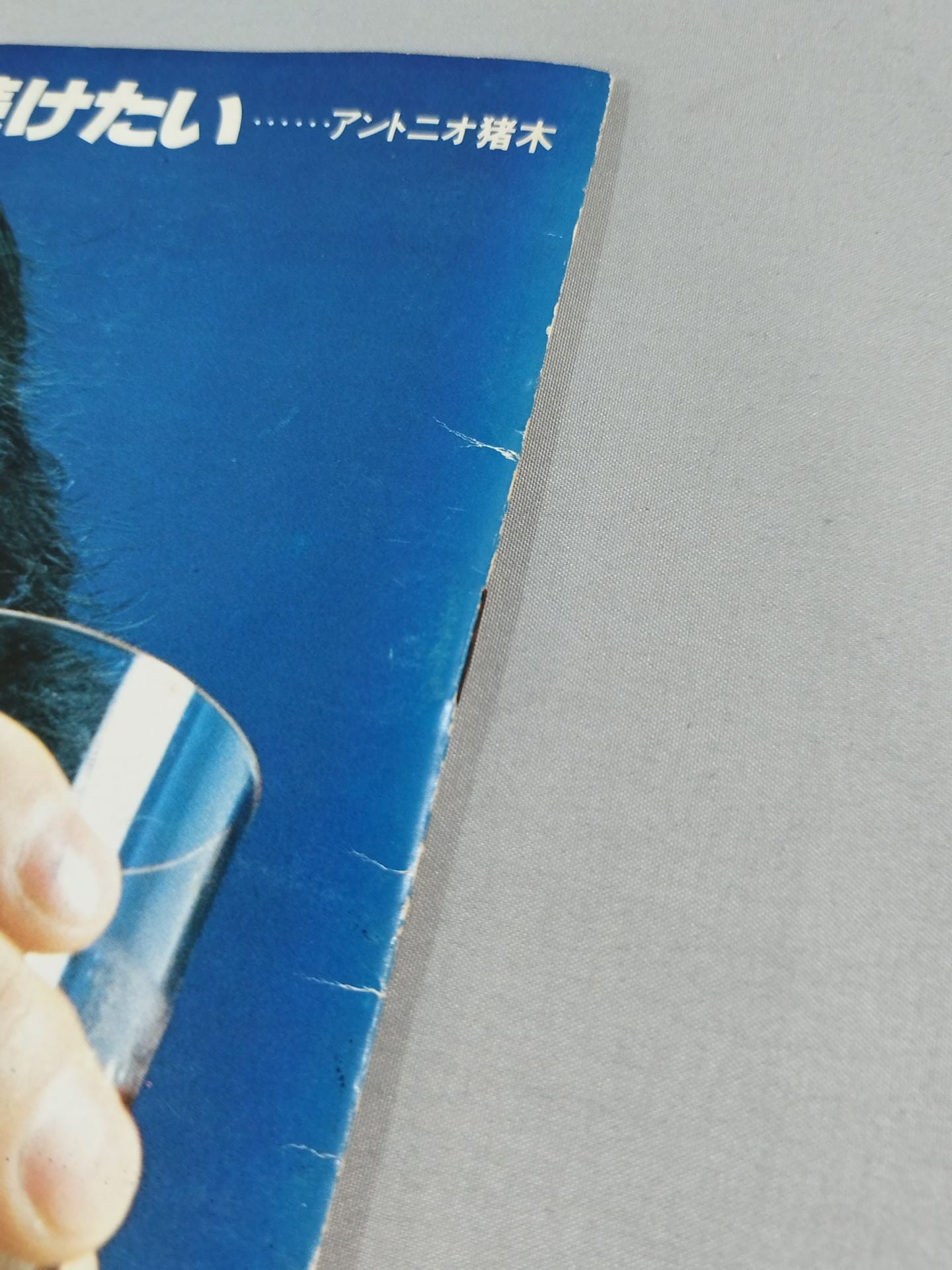 80ビッグ・ファイト・シリーズ