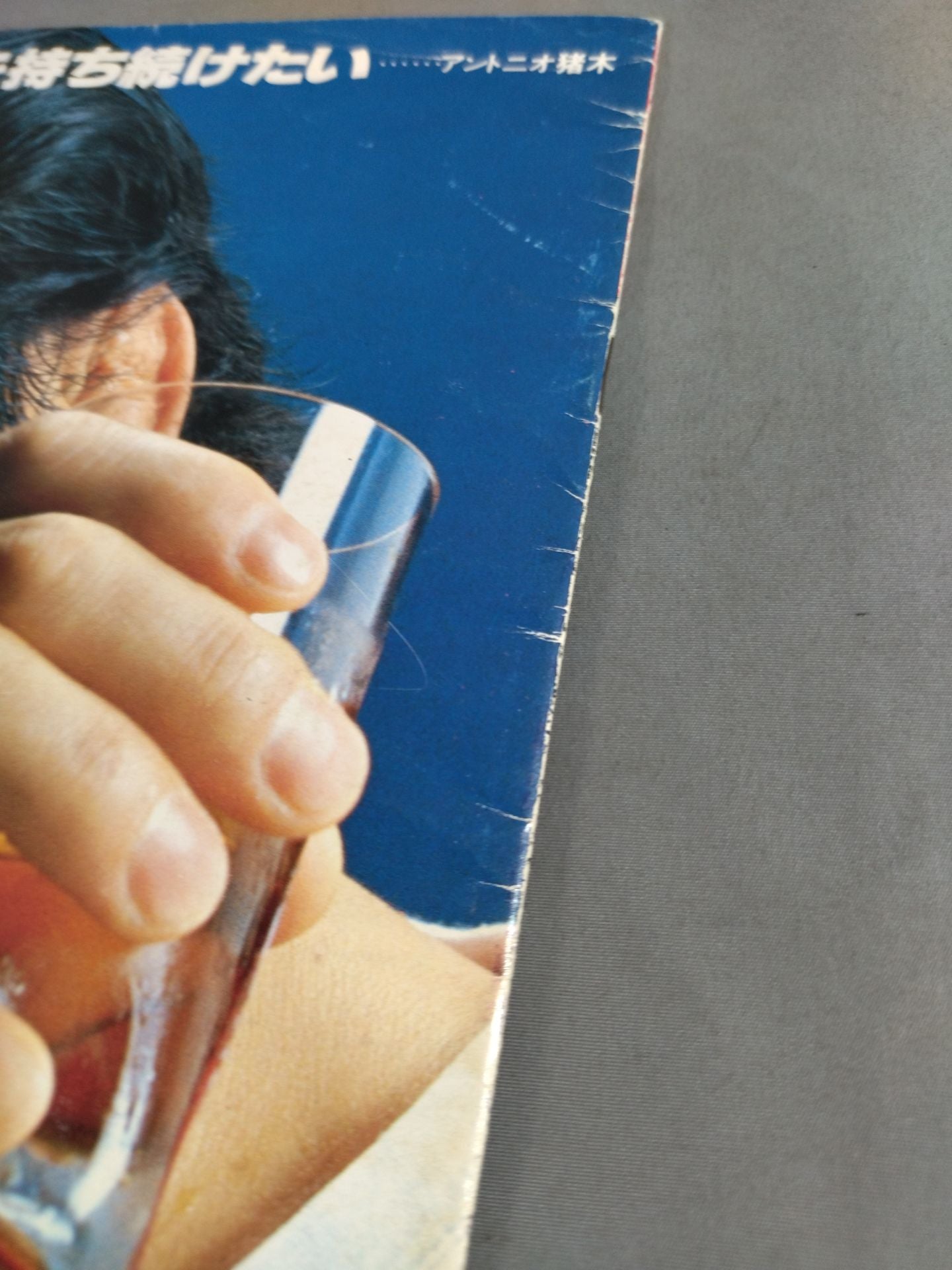 79ブラディファイトシリーズ