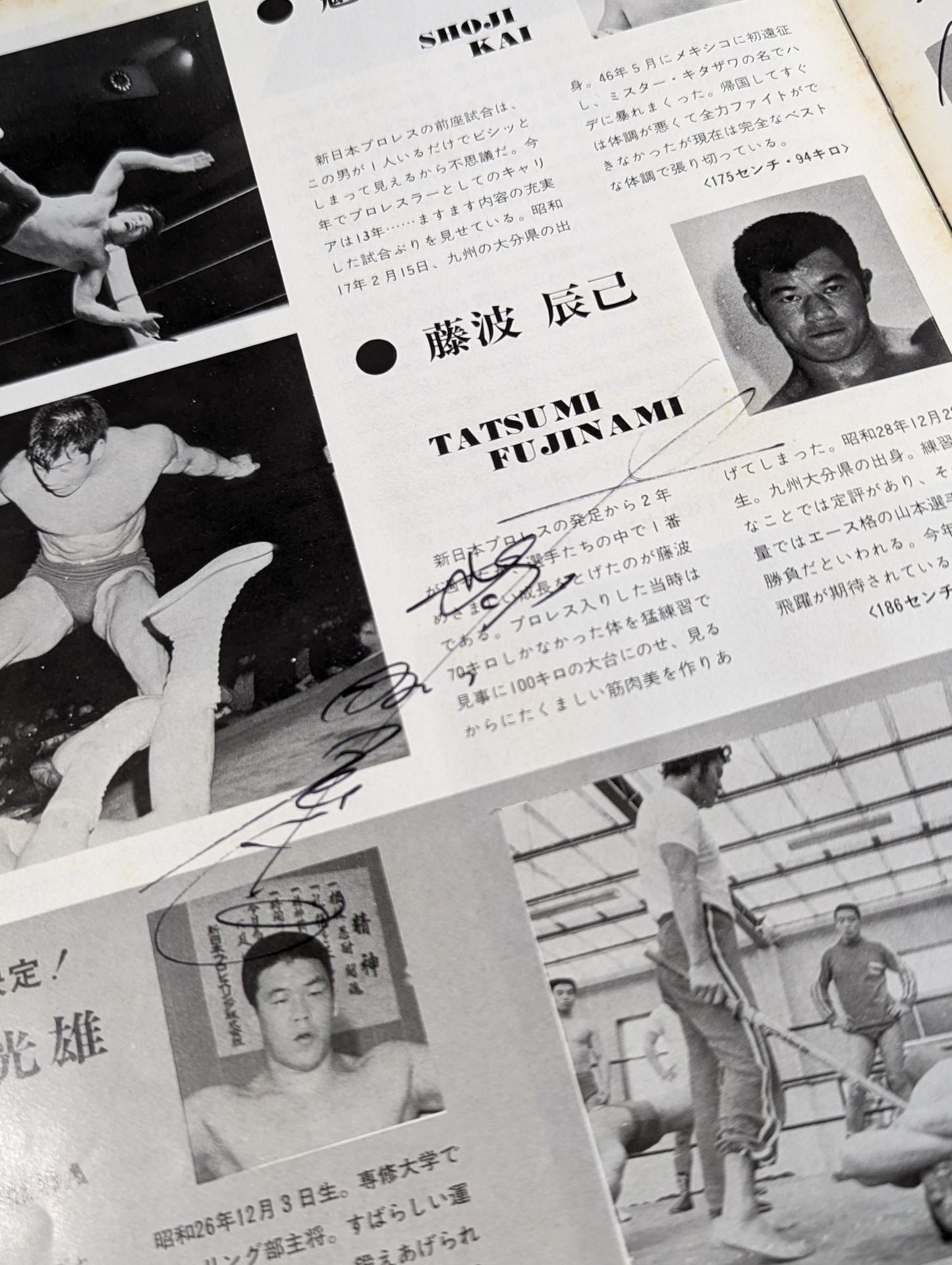 [9 fighters hand signed autograph 74 World League Rounds