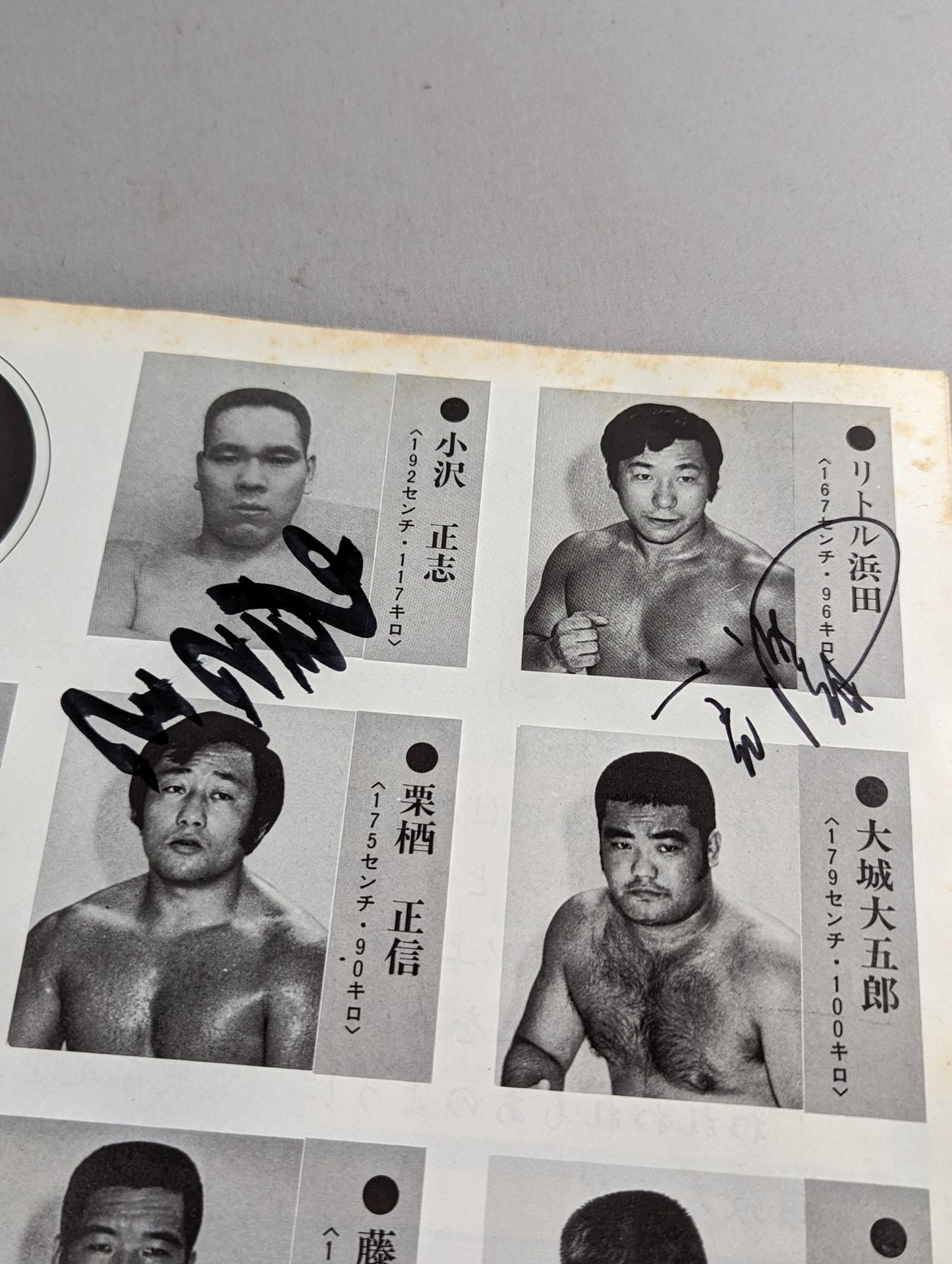 [9 fighters hand signed autograph 74 World League Rounds