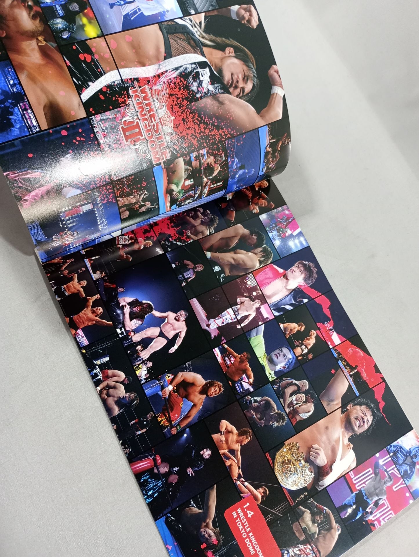 NJPW VISUALS 08 / OFFICIAL MAGAZINE PREMIUM ISSUE