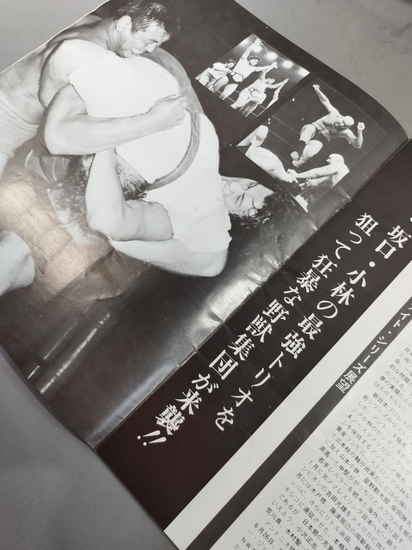 75 Summer Fight Series