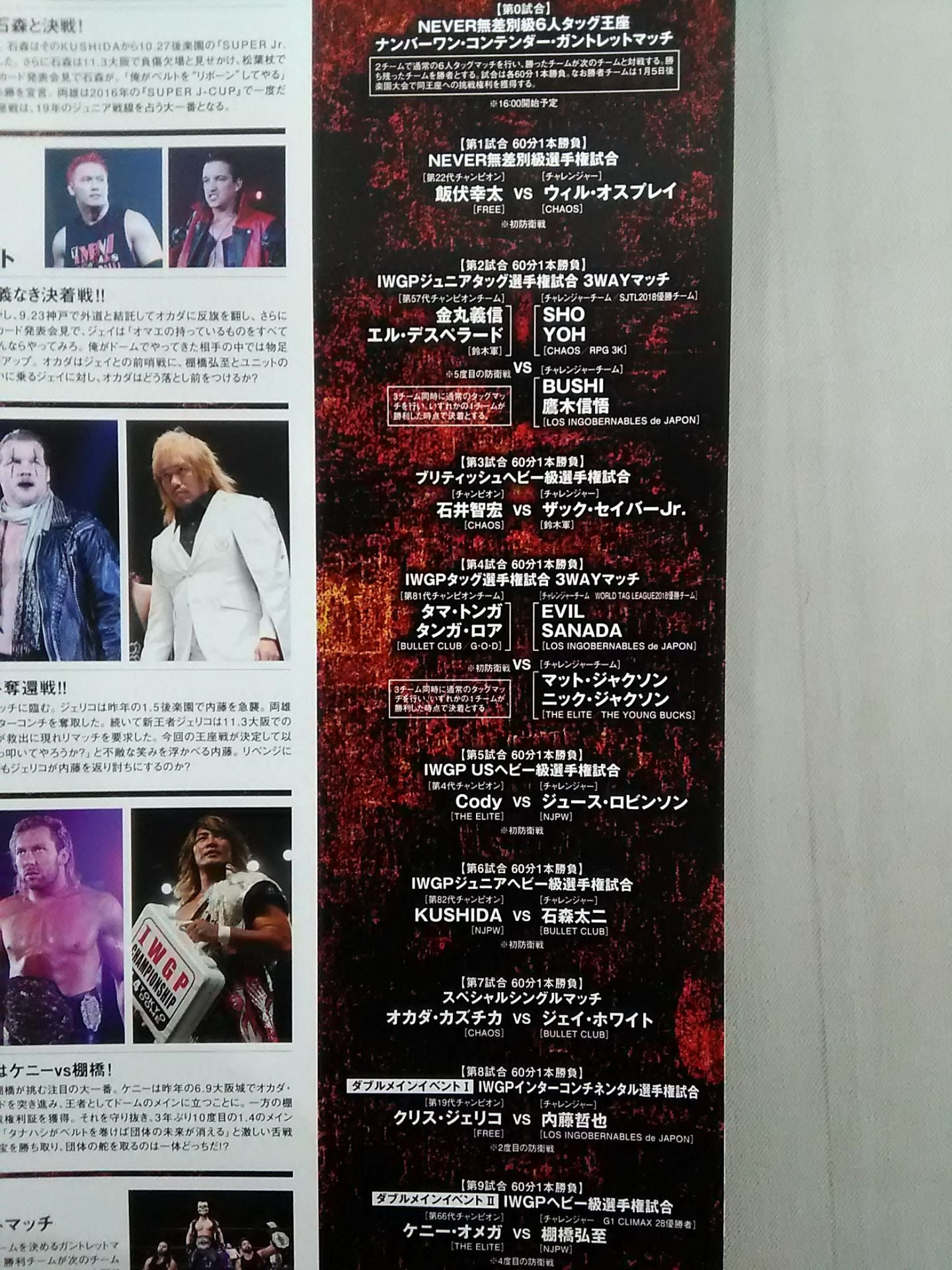レッスルキングダム13 / WRESTLE KINGDOM 13