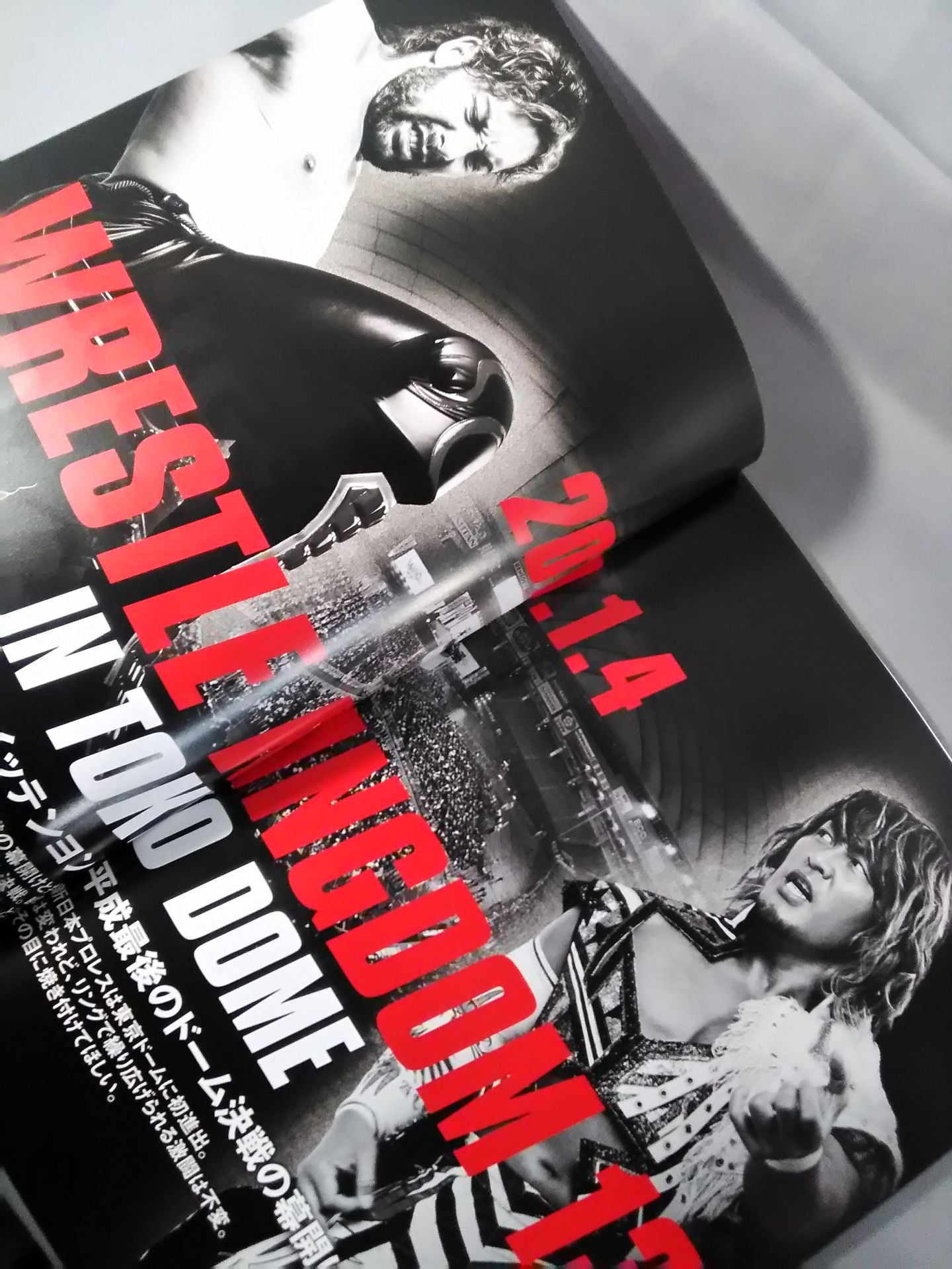 レッスルキングダム13 / WRESTLE KINGDOM 13