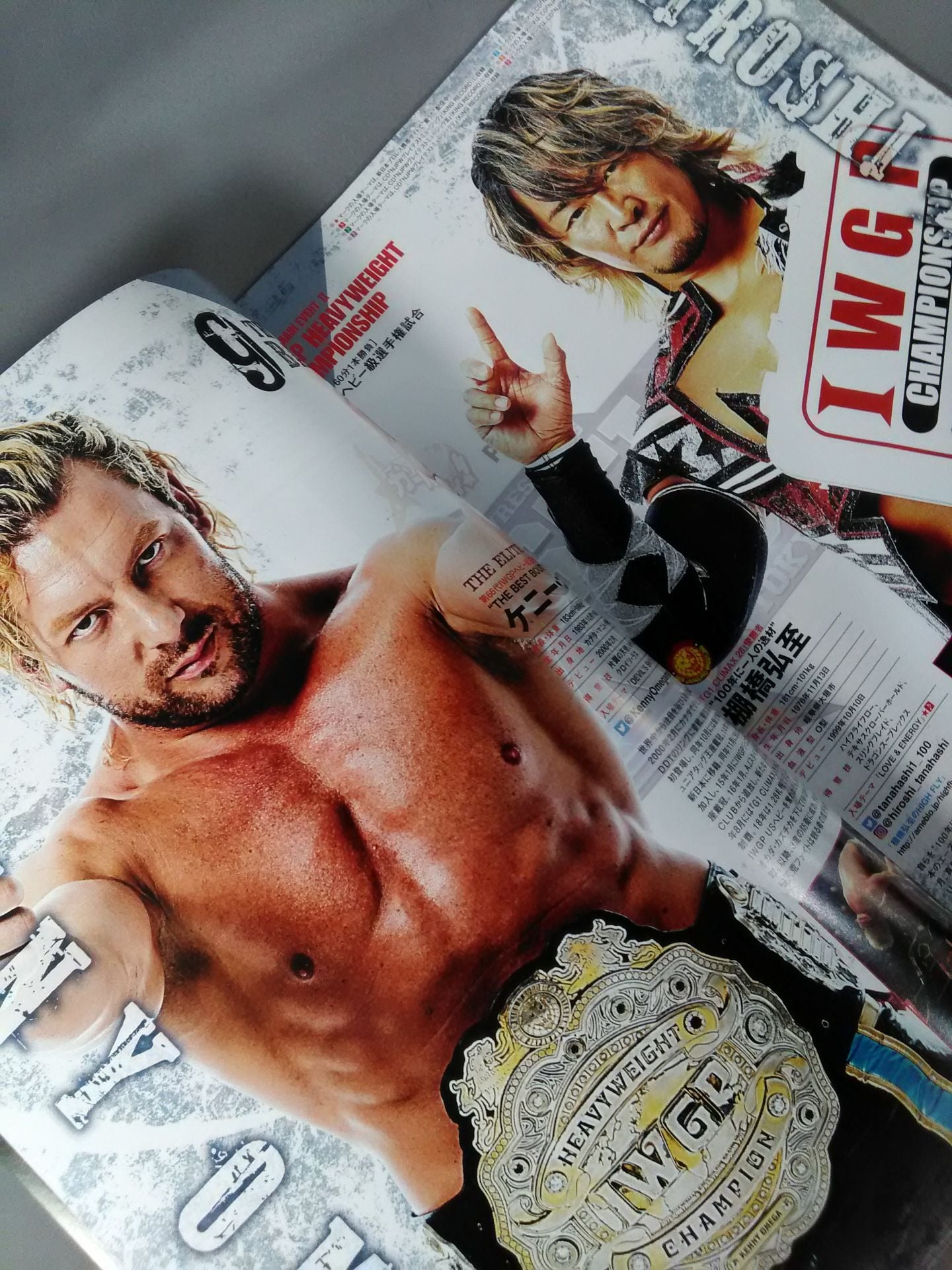 レッスルキングダム13 / WRESTLE KINGDOM 13