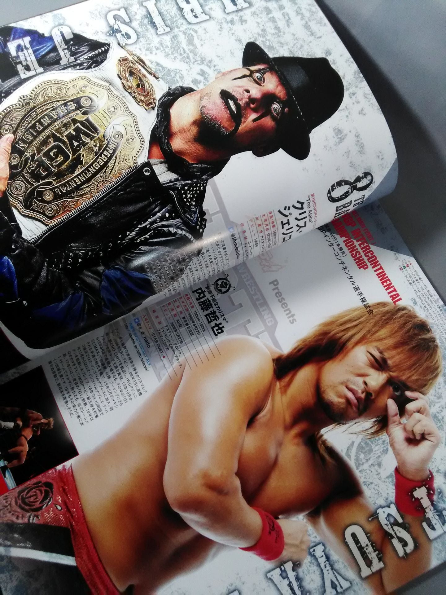 レッスルキングダム13 / WRESTLE KINGDOM 13