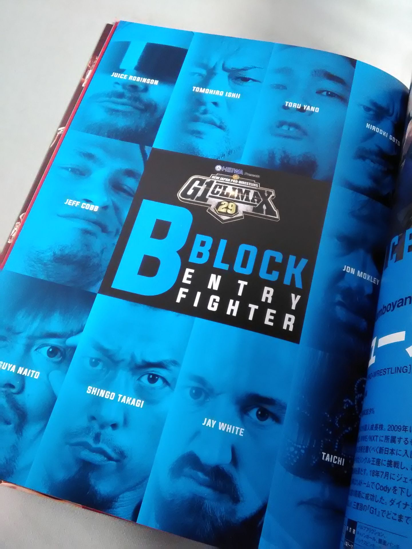 G1 CLIMAX 29 / G1クライマックス29