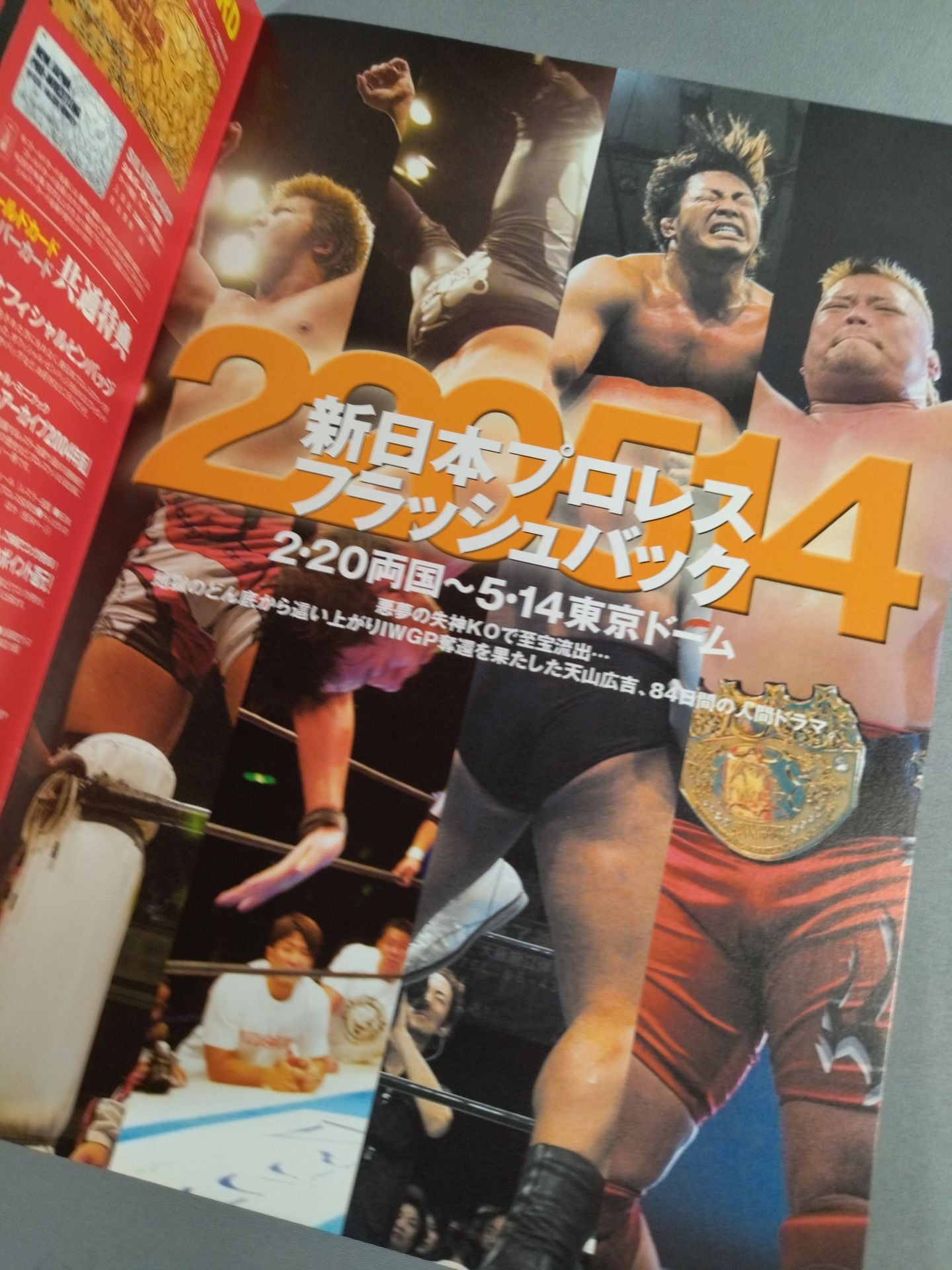 SUMMER FIGHT SERIES 2005