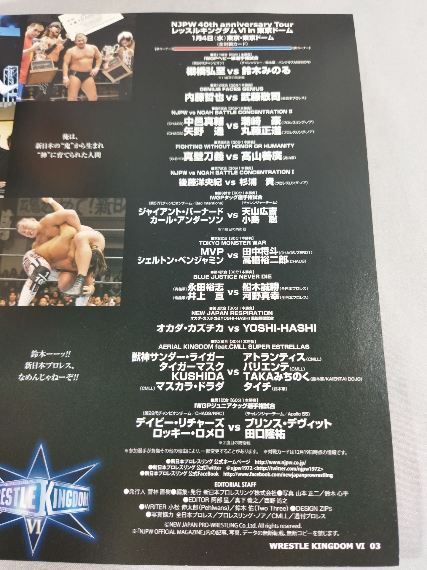 Wrestle Kingdom 6 / WRESTLE KINGDOM VI.