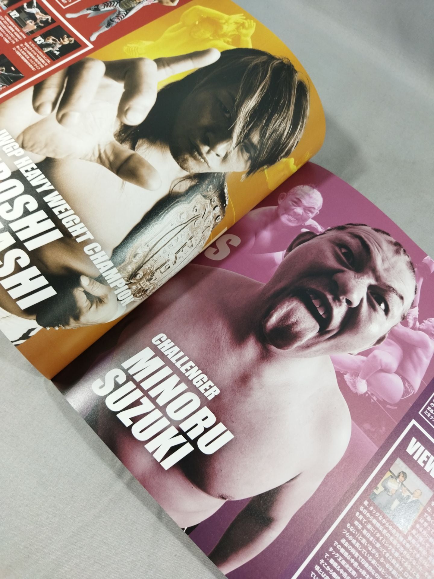 Wrestle Kingdom 6 / WRESTLE KINGDOM VI.