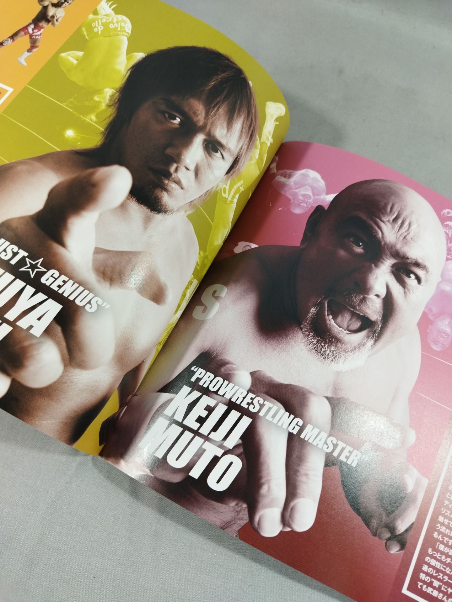 Wrestle Kingdom 6 / WRESTLE KINGDOM VI.
