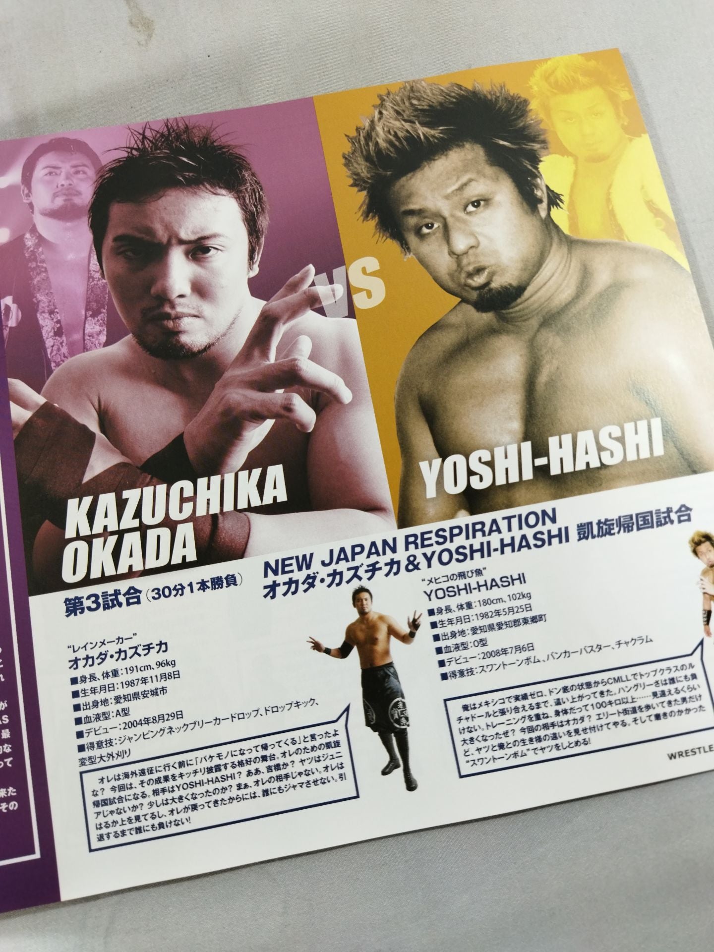 Wrestle Kingdom 6 / WRESTLE KINGDOM VI.