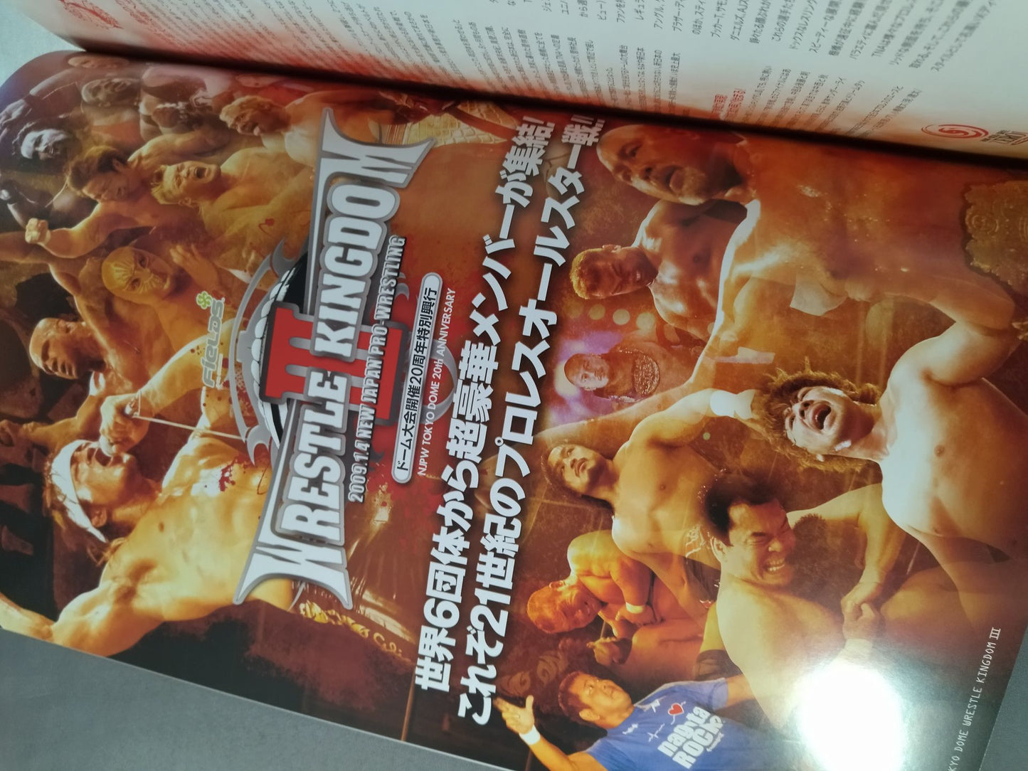 Wrestle Kingdom 3 / WRESTLE KINGDOM III.
