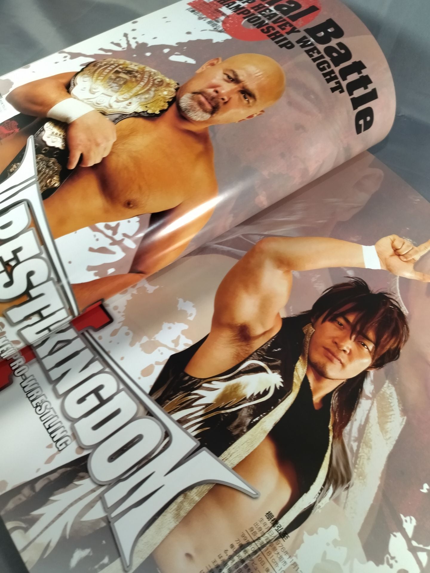 Wrestle Kingdom 3 / WRESTLE KINGDOM III.