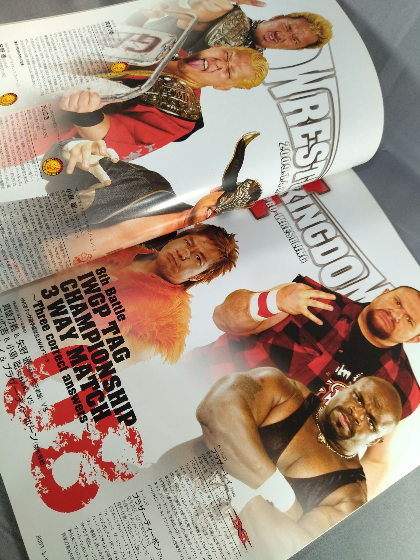 Wrestle Kingdom 3 / WRESTLE KINGDOM III.