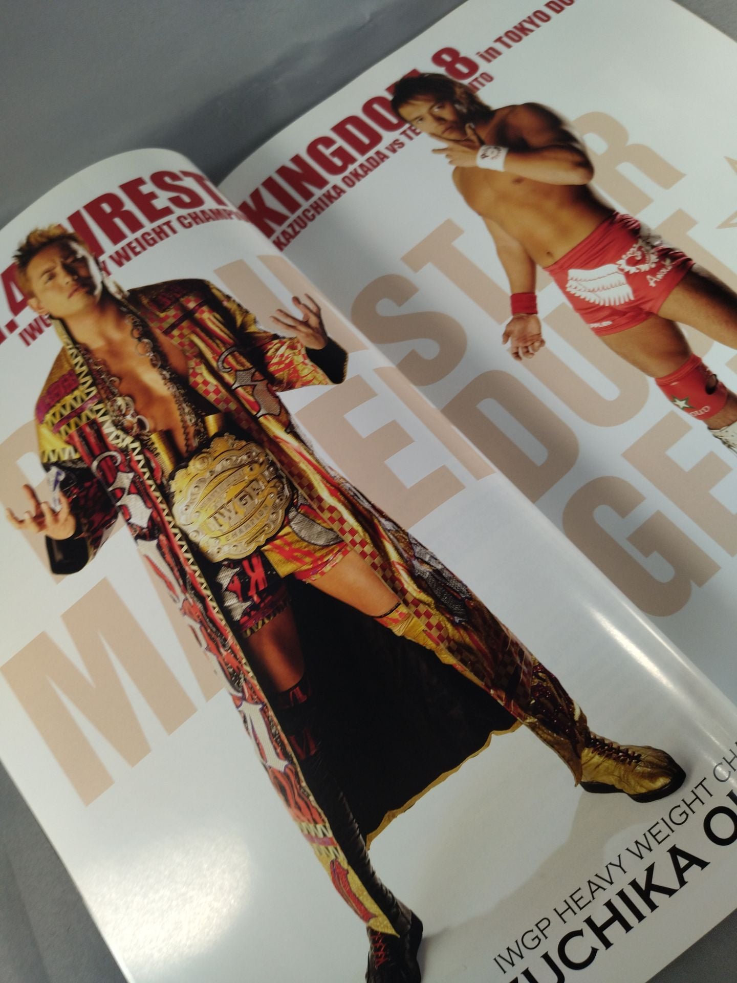 レッスルキングダム8 / WRESTLE KINGDOM 8