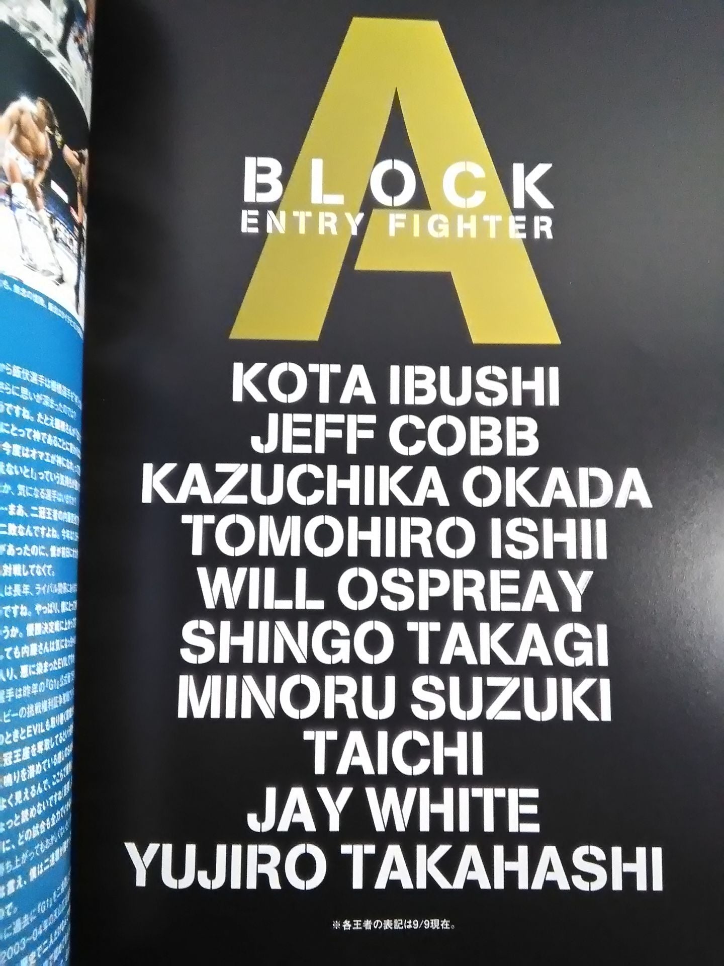 G1 CLIMAX 30 / G1クライマックス30