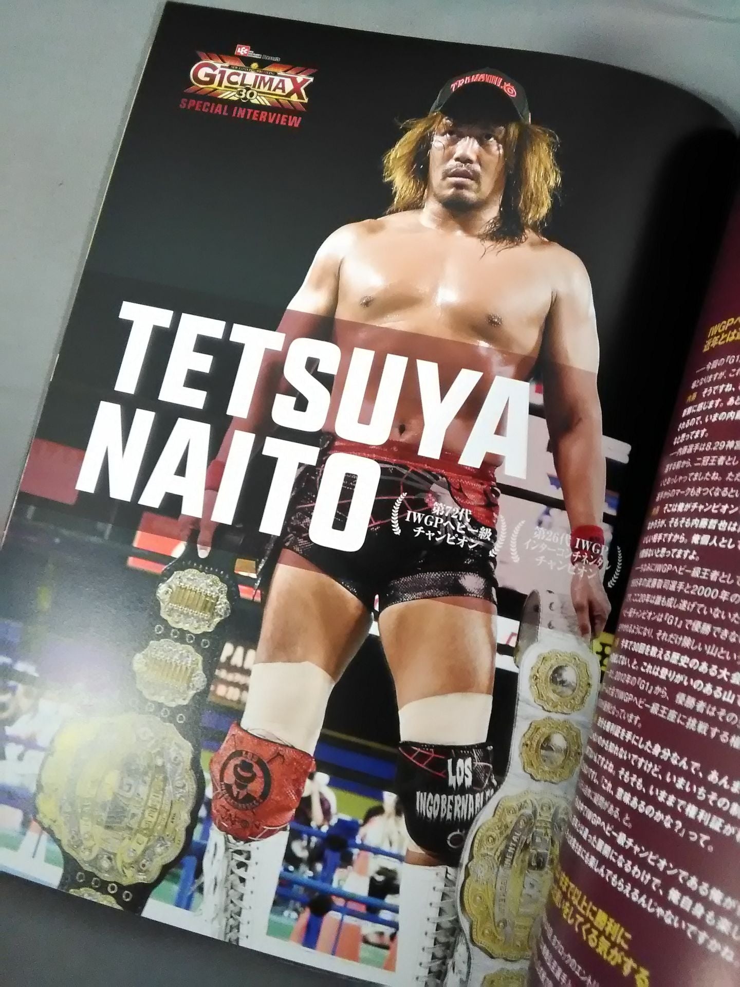 G1 CLIMAX 30 / G1クライマックス30