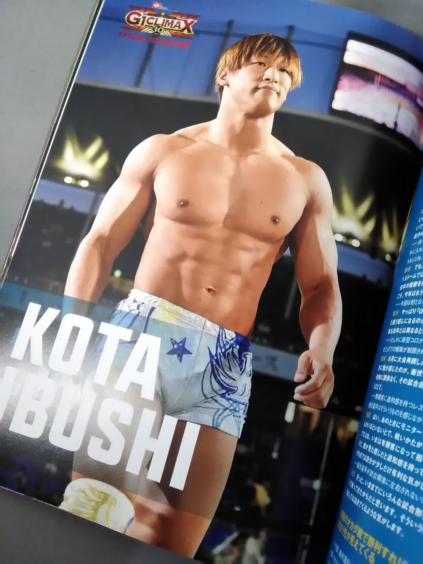 G1 CLIMAX 30 / G1クライマックス30