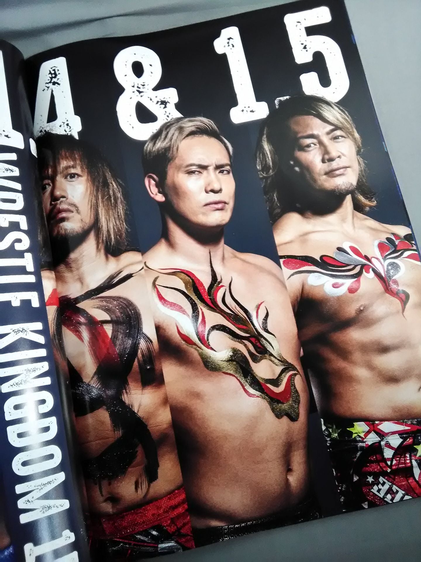 レッスルキングダム15 / WRESTLE KINGDOM 15