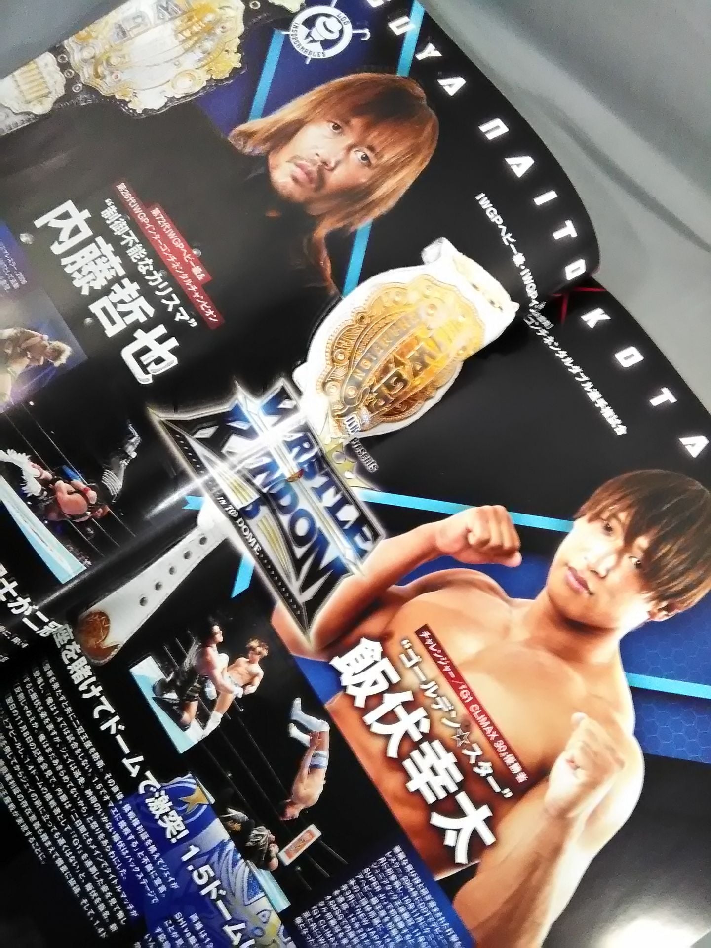 レッスルキングダム15 / WRESTLE KINGDOM 15