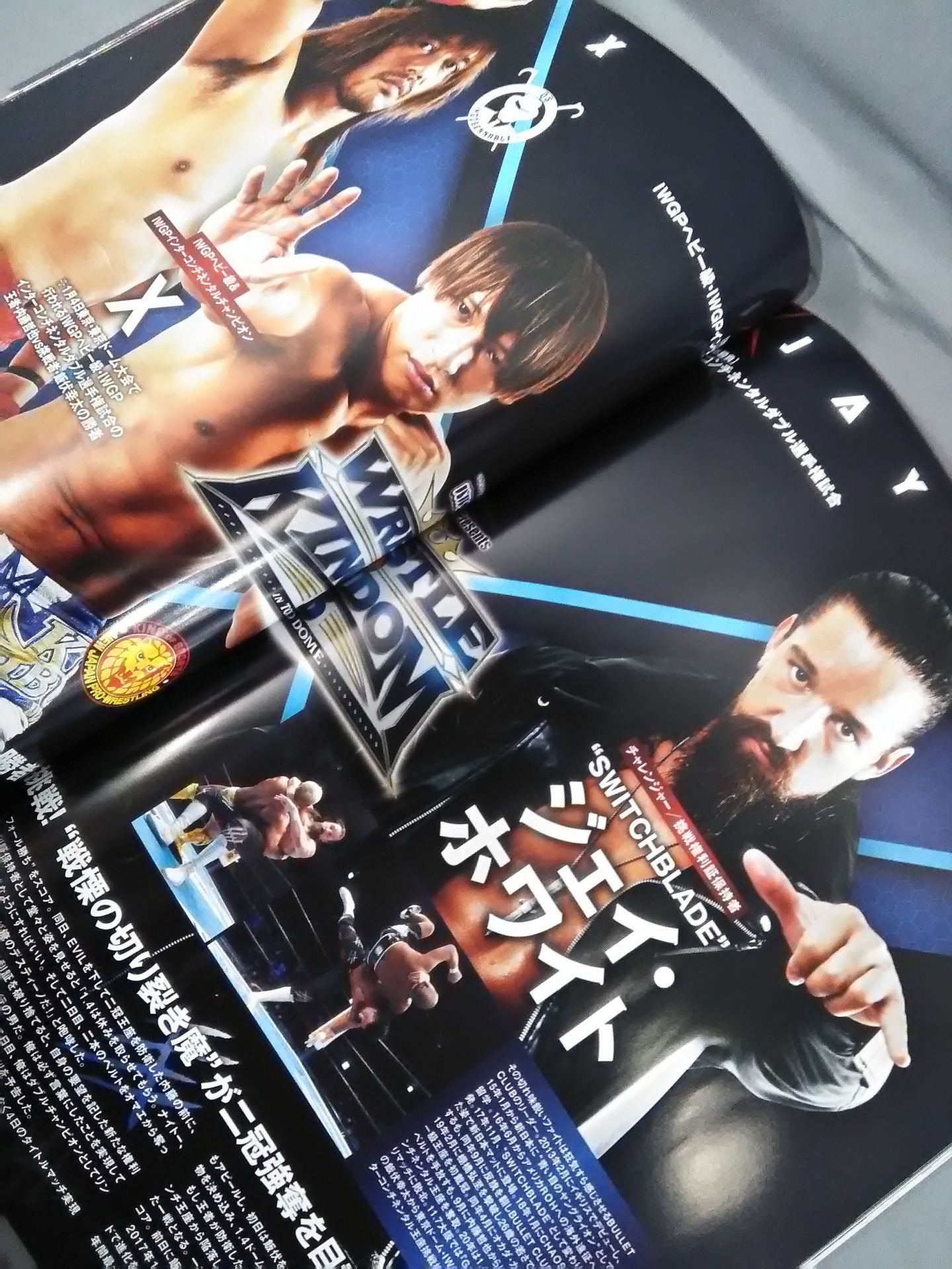 レッスルキングダム15 / WRESTLE KINGDOM 15